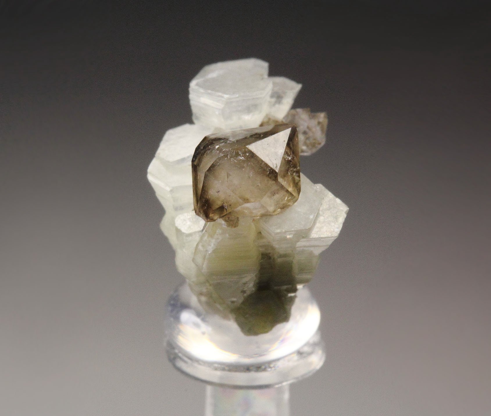 WELOGANITE, QUARTZ var. SMOKY