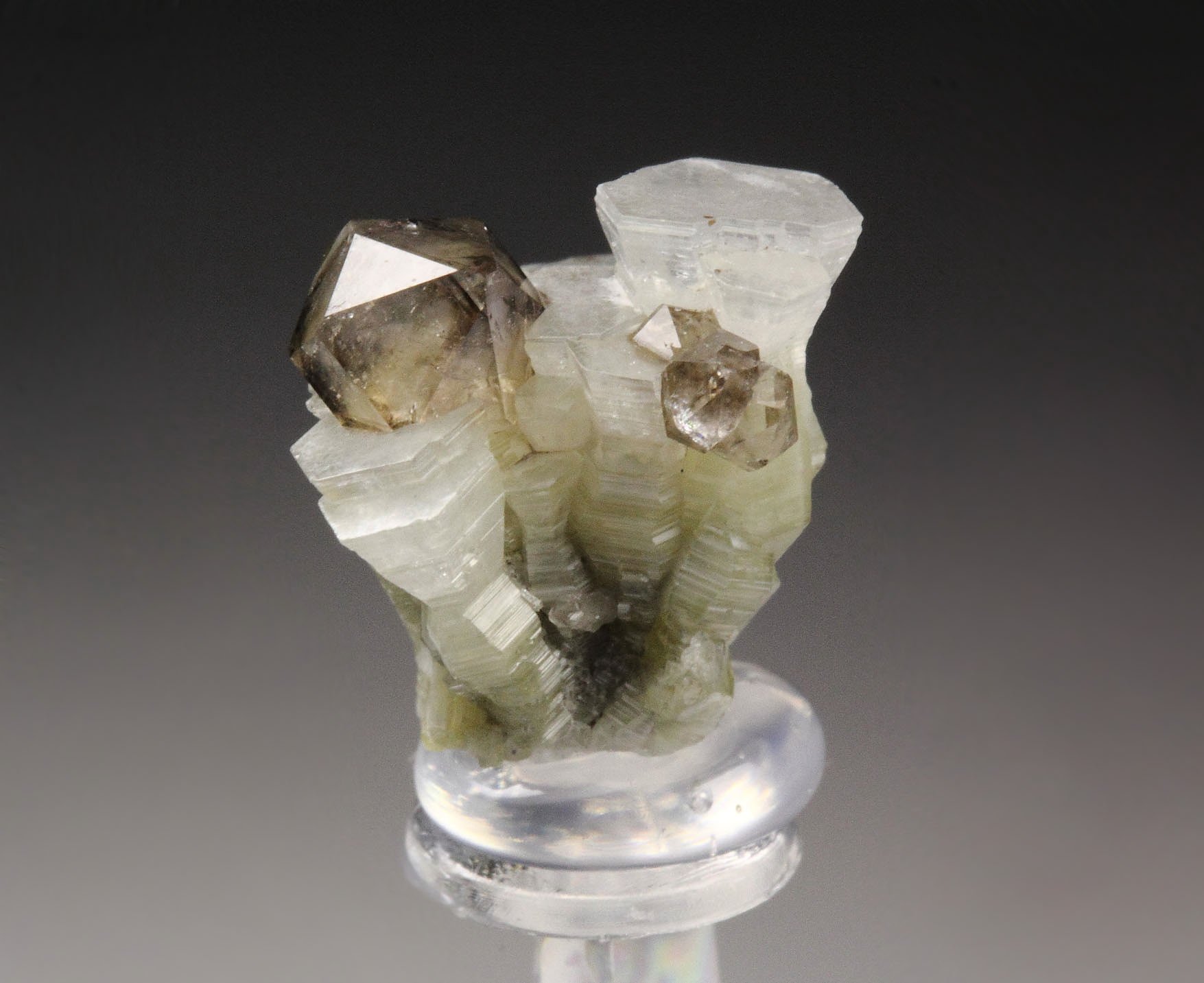 WELOGANITE, QUARTZ var. SMOKY