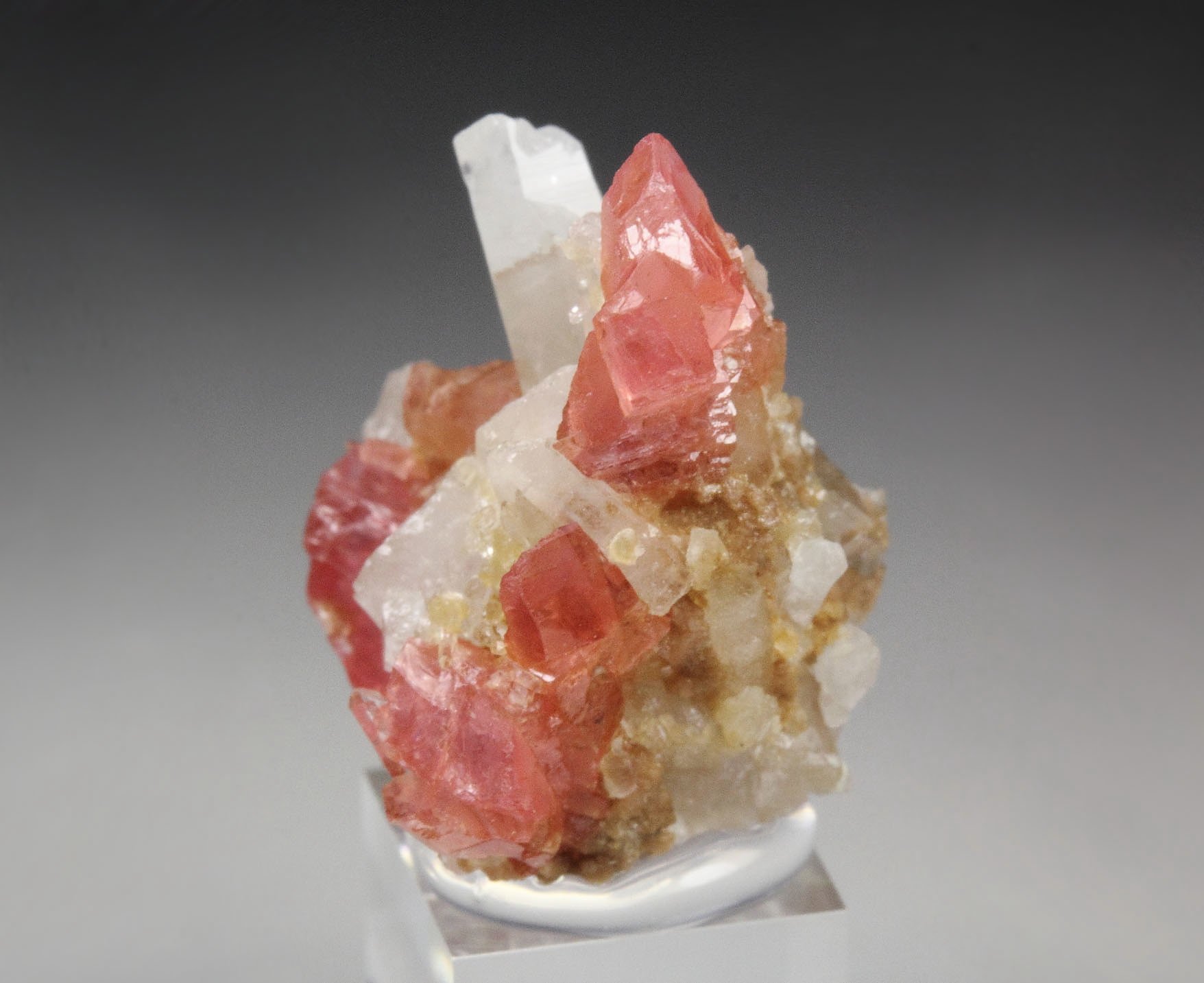 RHODOCHROSITE, QUARTZ