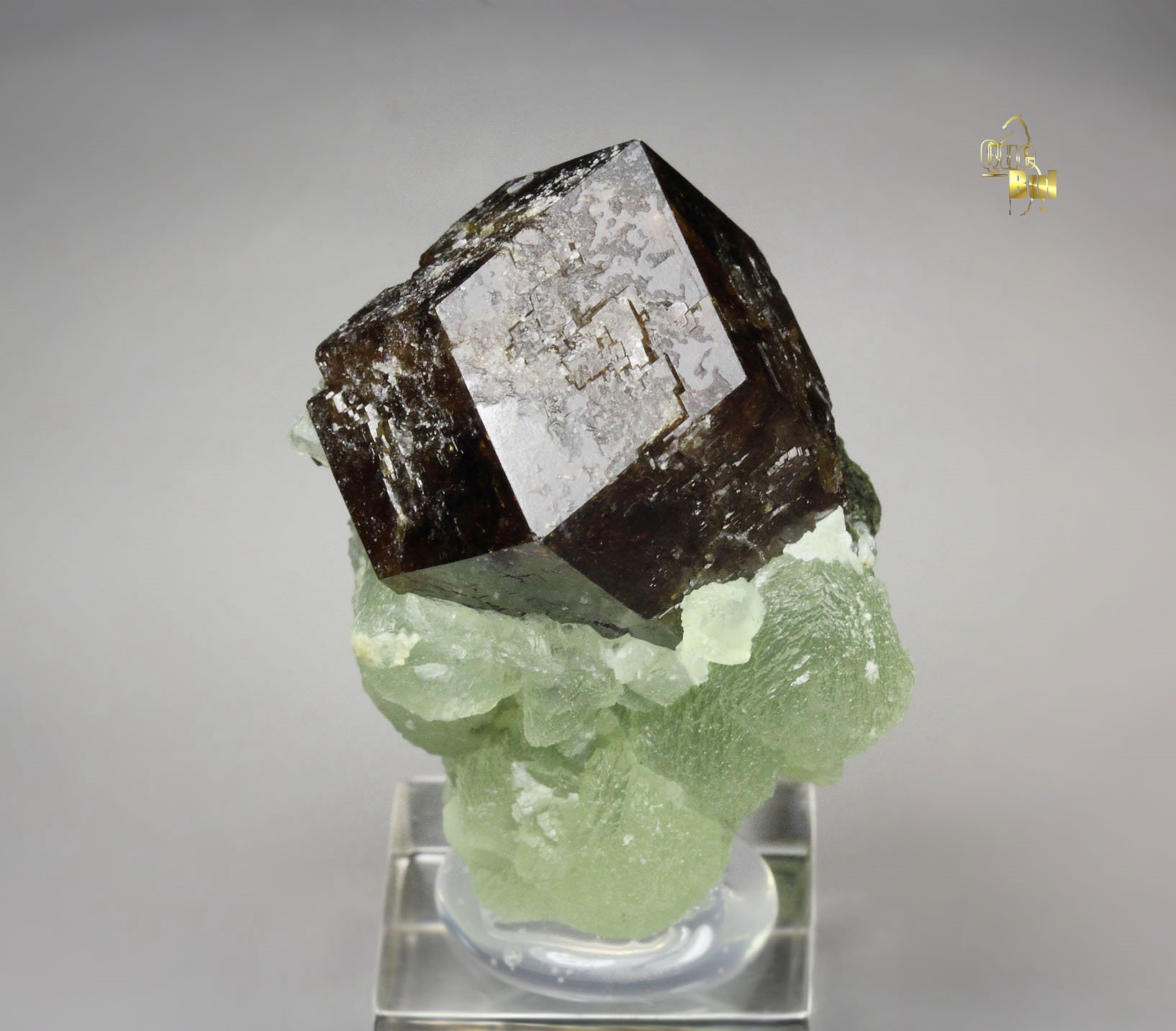 GARNET var. ANDRADITE, PREHNITE