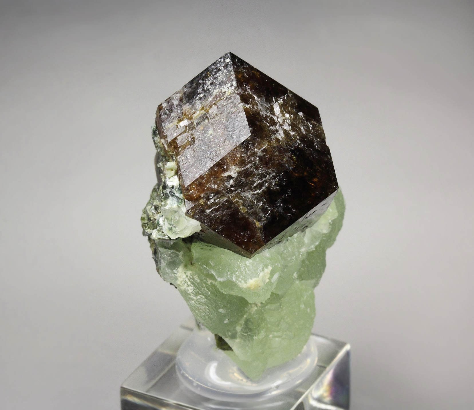 GARNET var. ANDRADITE, PREHNITE