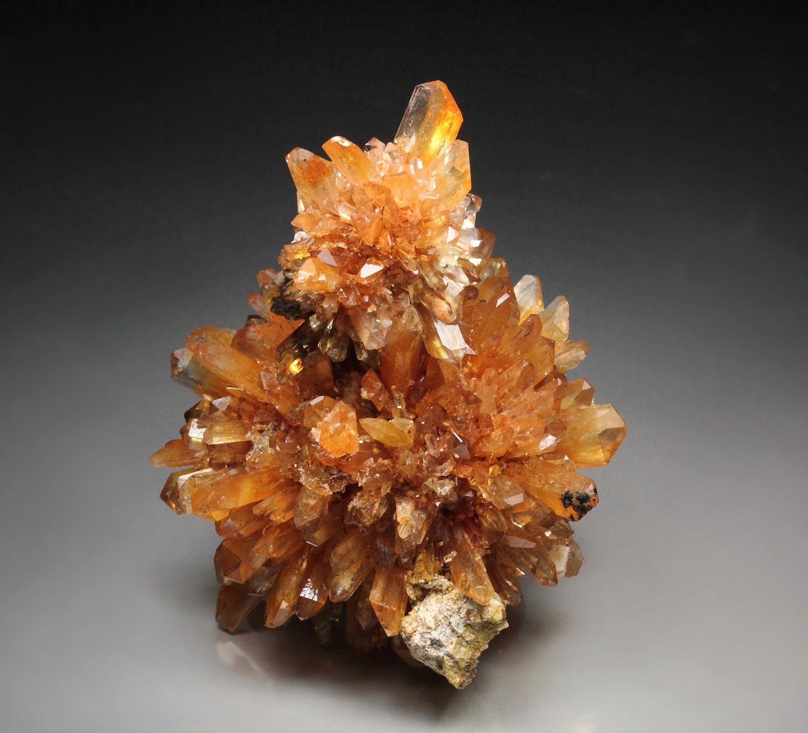 CREEDITE