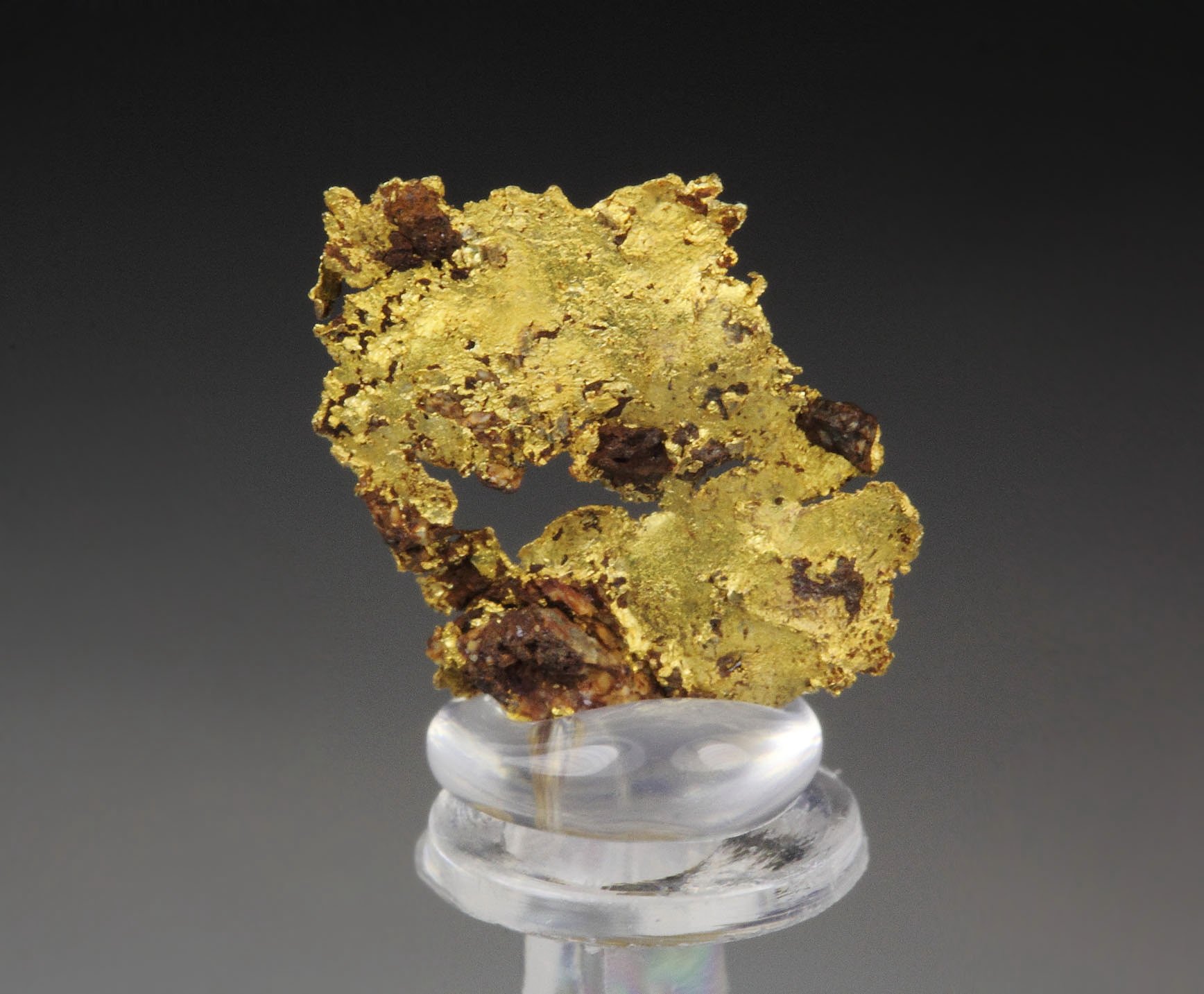 GOLD