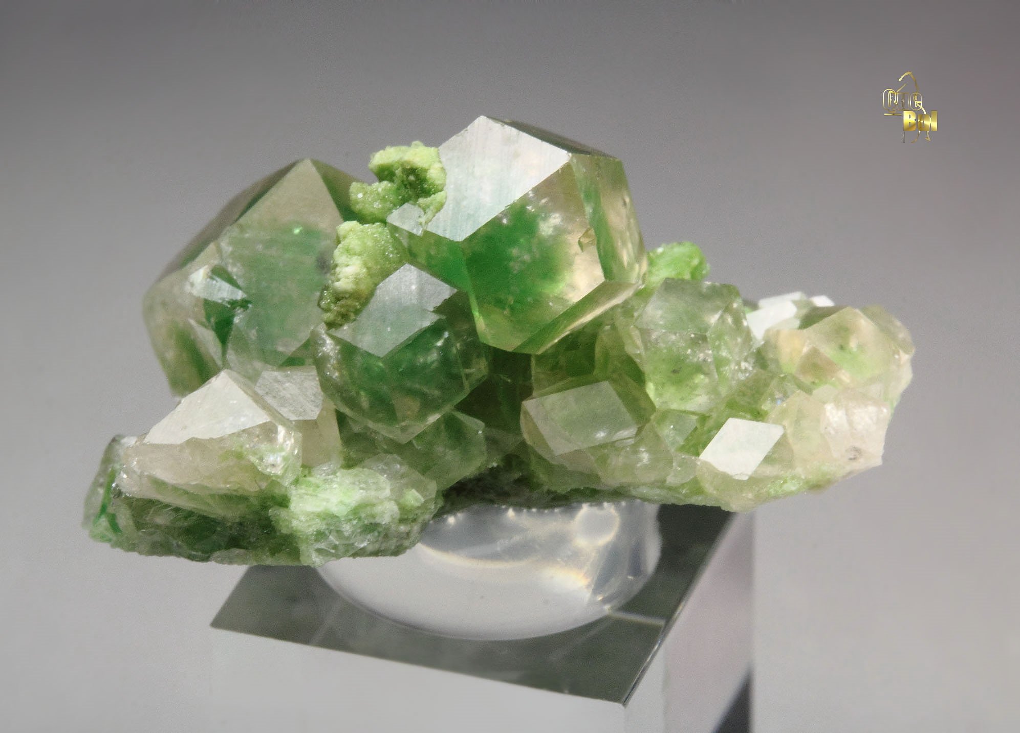 gem GARNET var. GROSSULAR with GREEN CHROMIAN PHANTOMS, DIOPSIDE