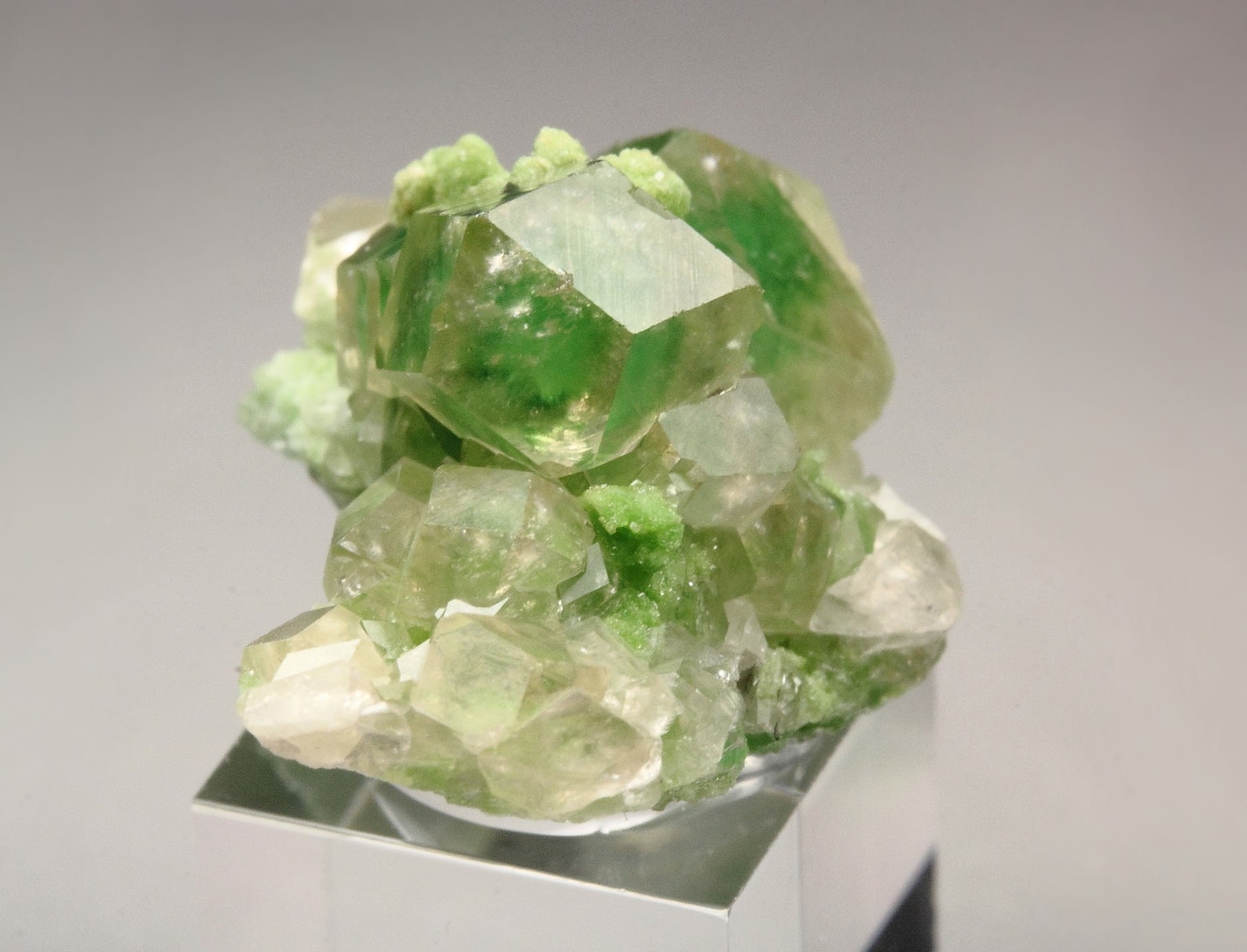 gem GARNET var. GROSSULAR with GREEN CHROMIAN PHANTOMS, DIOPSIDE