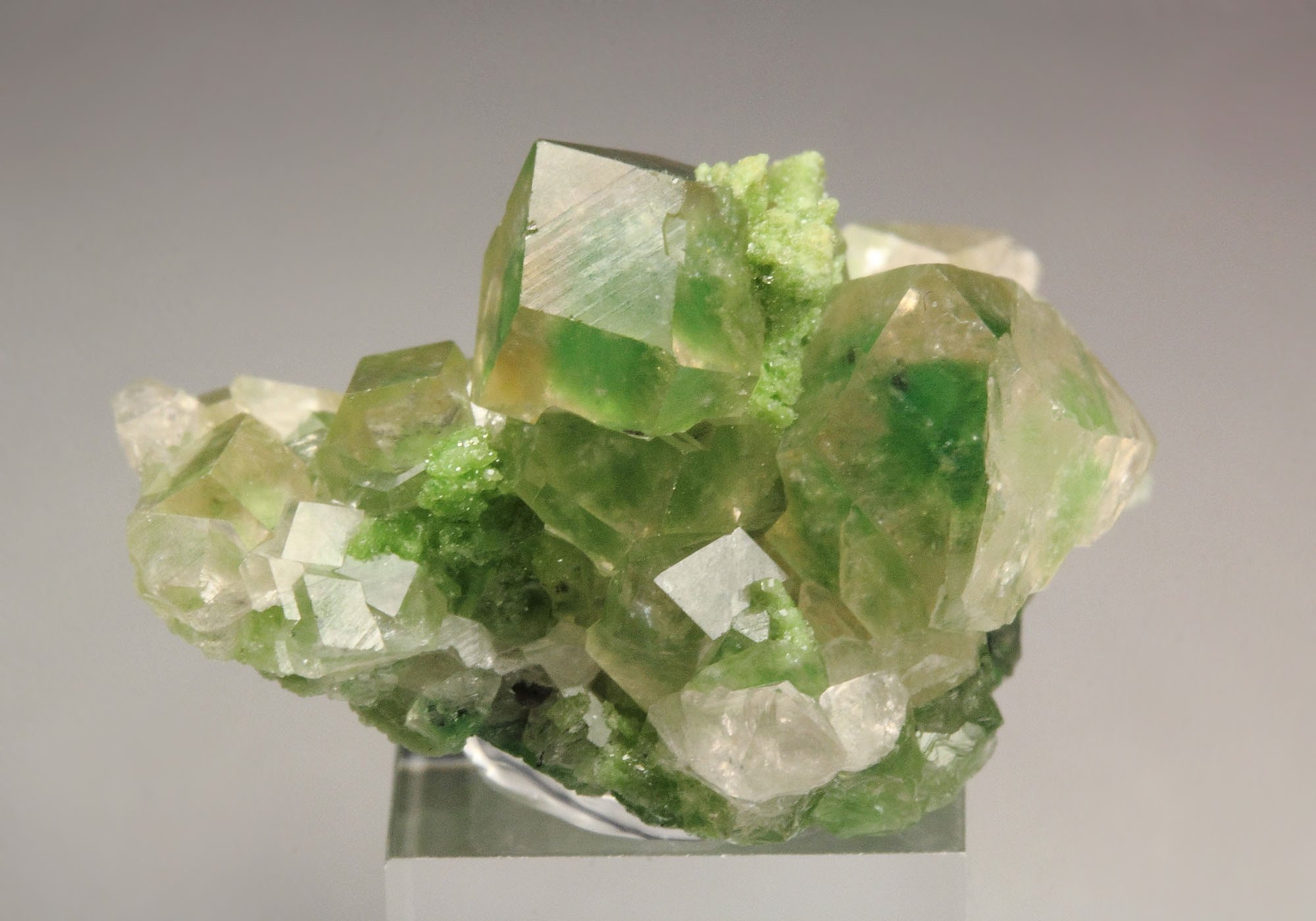 gem GARNET var. GROSSULAR with GREEN CHROMIAN PHANTOMS, DIOPSIDE