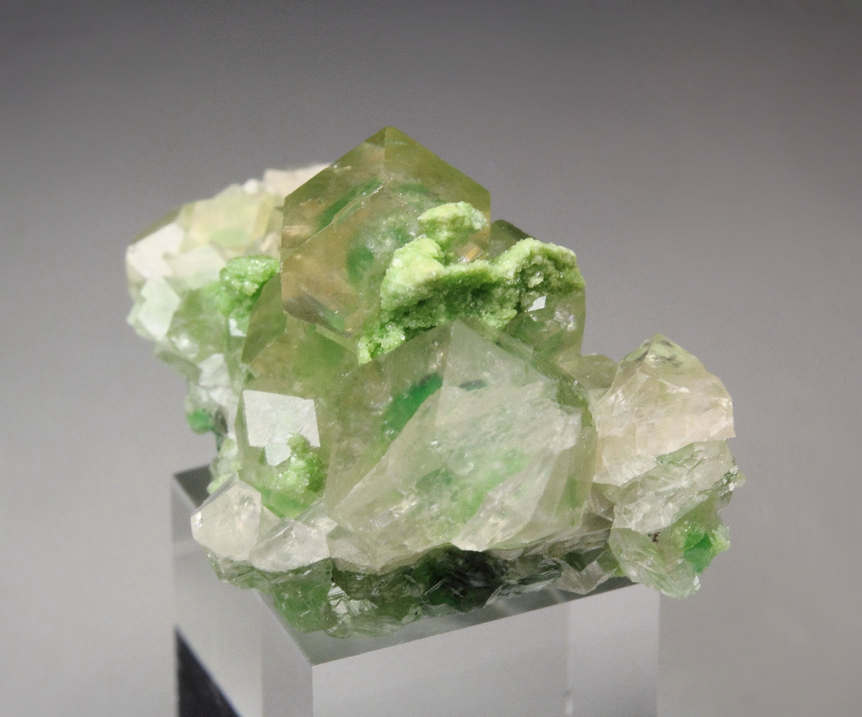 gem GARNET var. GROSSULAR with GREEN CHROMIAN PHANTOMS, DIOPSIDE