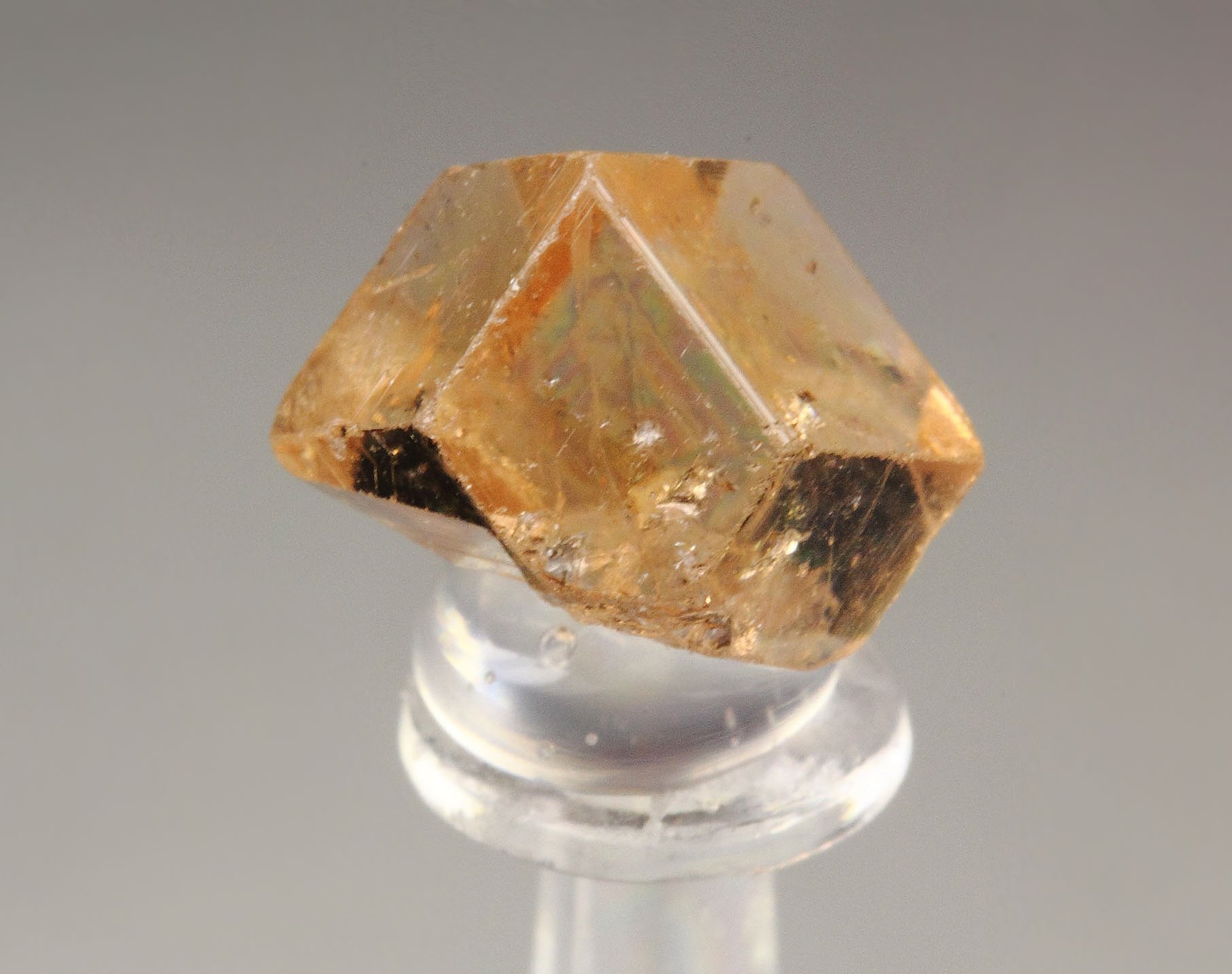 gem GARNET var. GROSSULAR