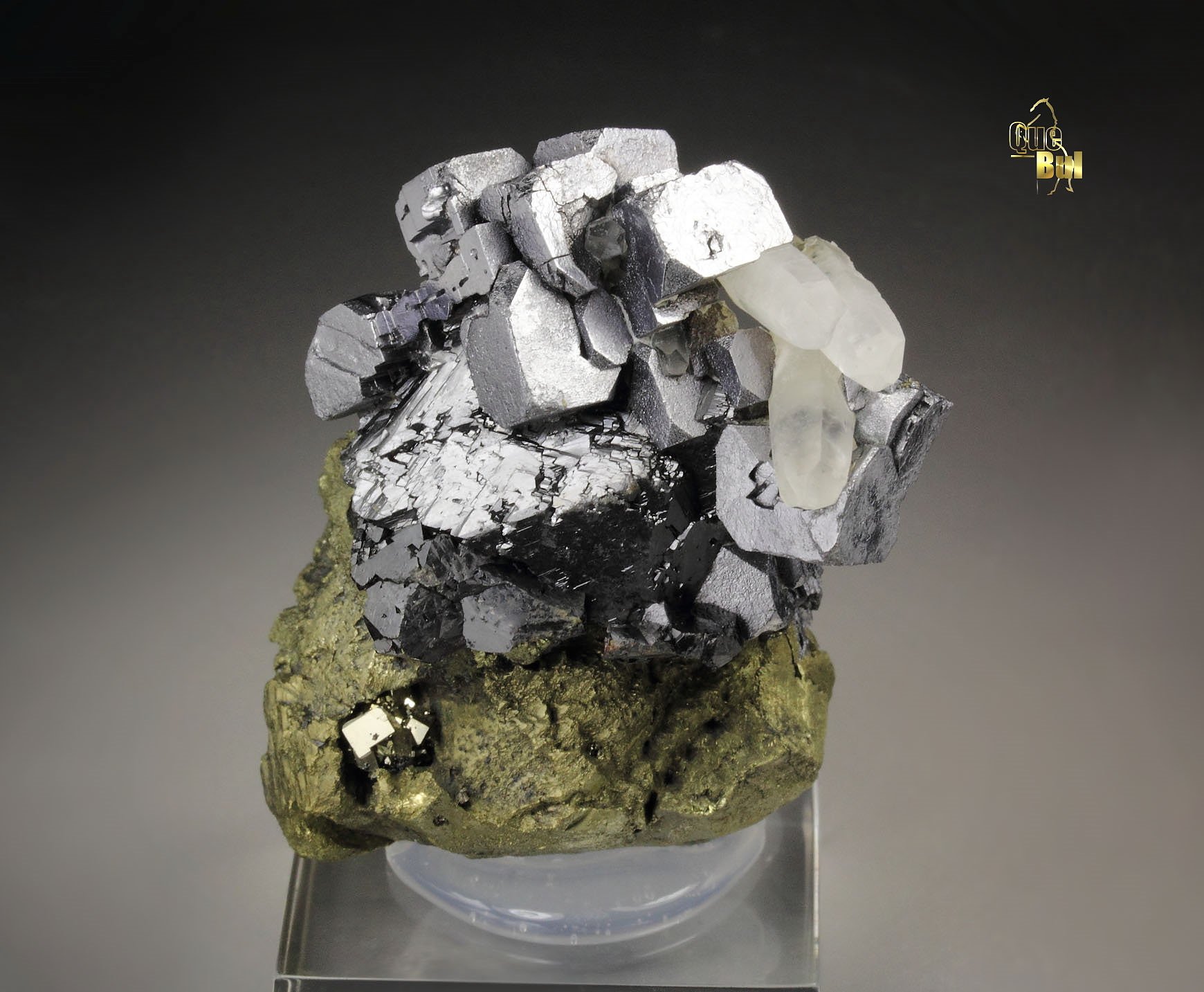 GALENA, CHALCOPYRITE, SPHALERITE, PYRITE, QUARTZ