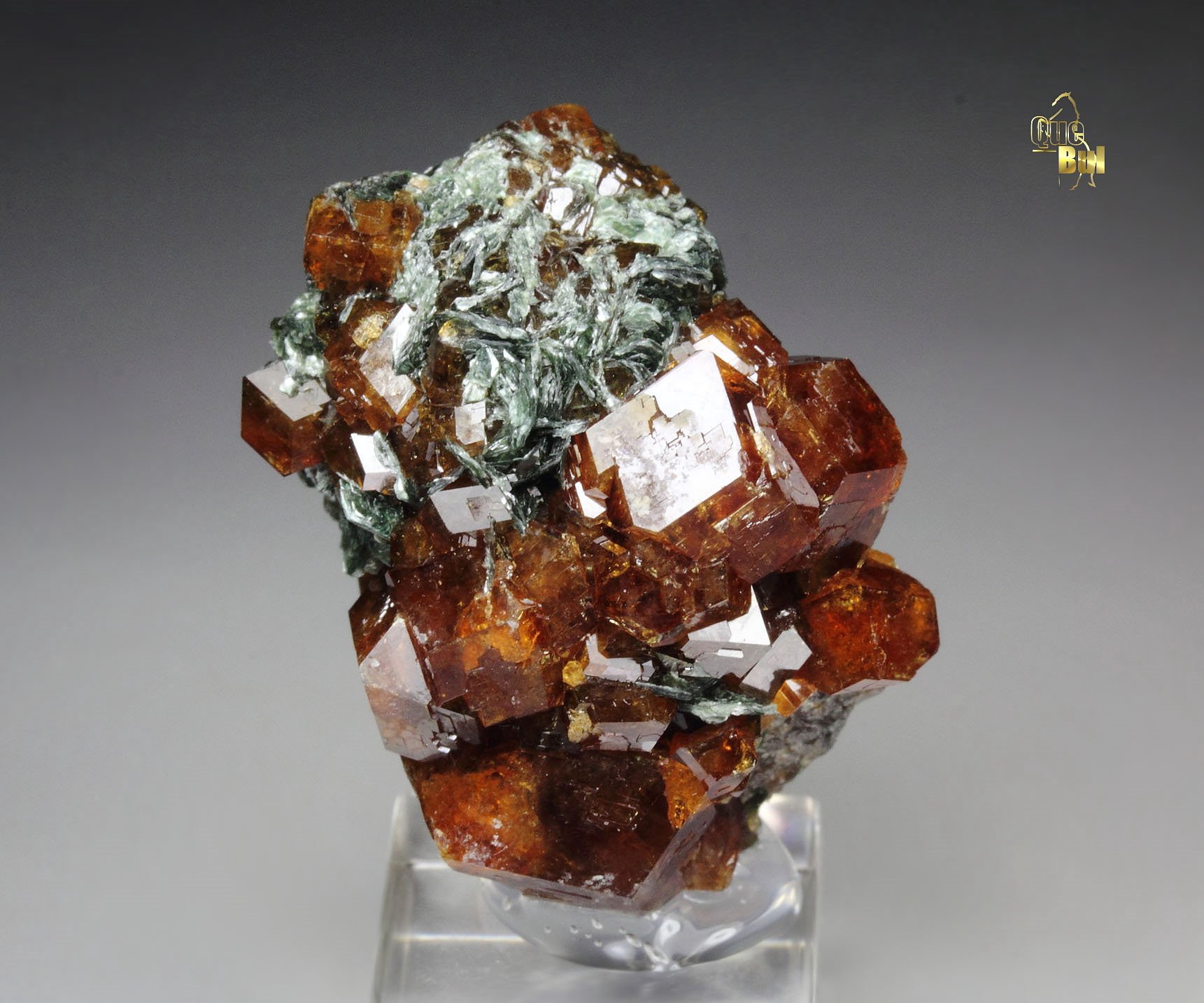 GARNET var. ANDRADITE, CLINOCHLORE