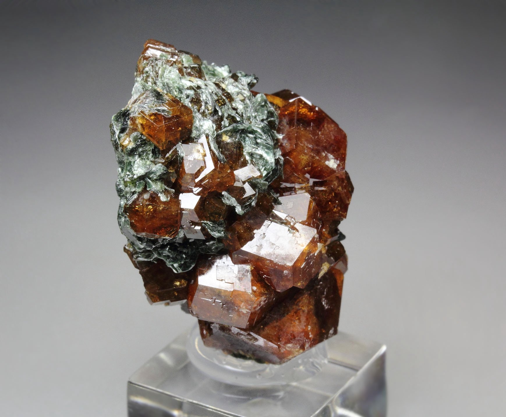 GARNET var. ANDRADITE, CLINOCHLORE