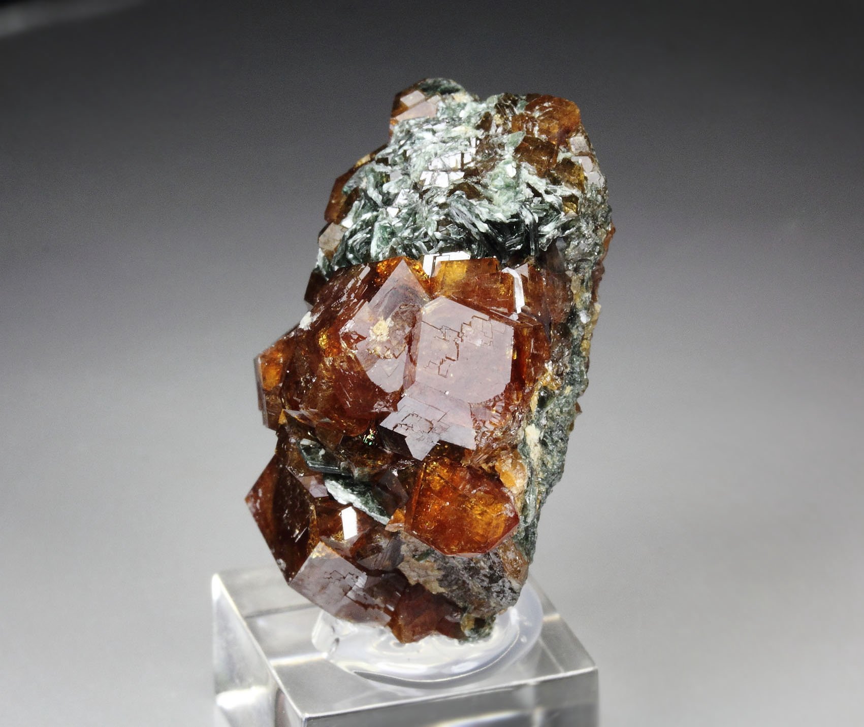 GARNET var. ANDRADITE, CLINOCHLORE