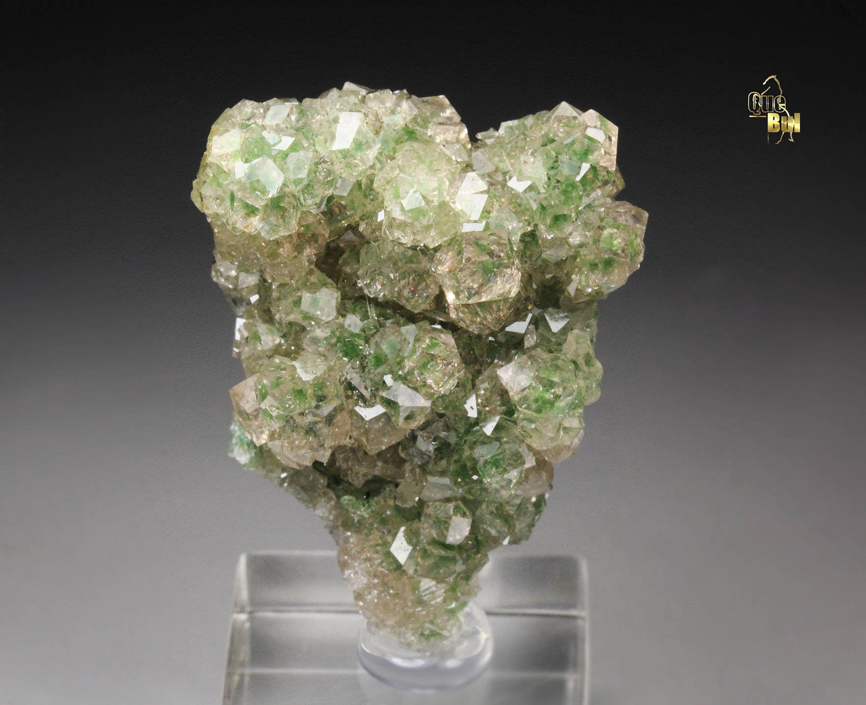 gem GARNET var. GROSSULAR with GREEN CHROMIAN PHANTOMS