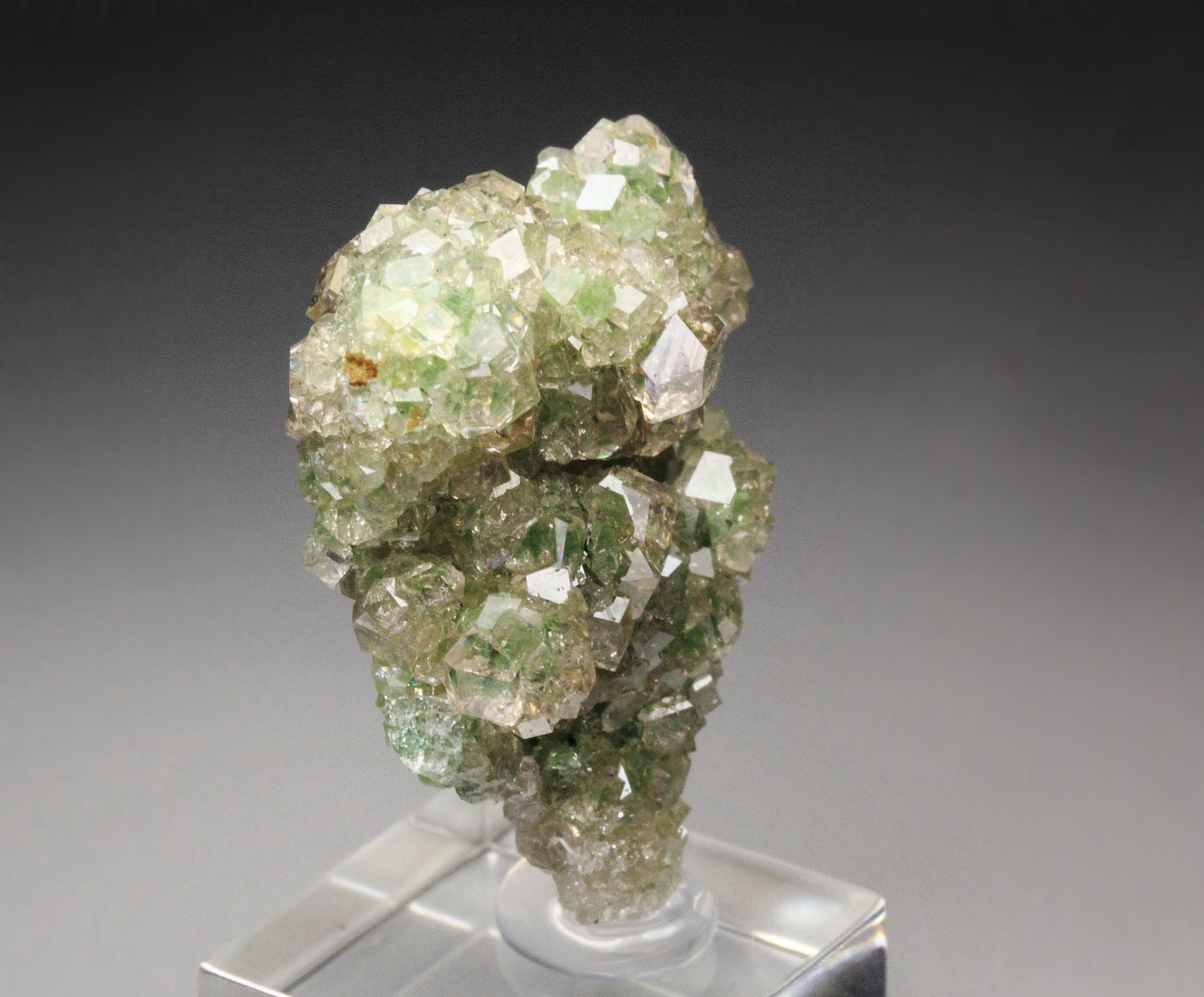 gem GARNET var. GROSSULAR with GREEN CHROMIAN PHANTOMS