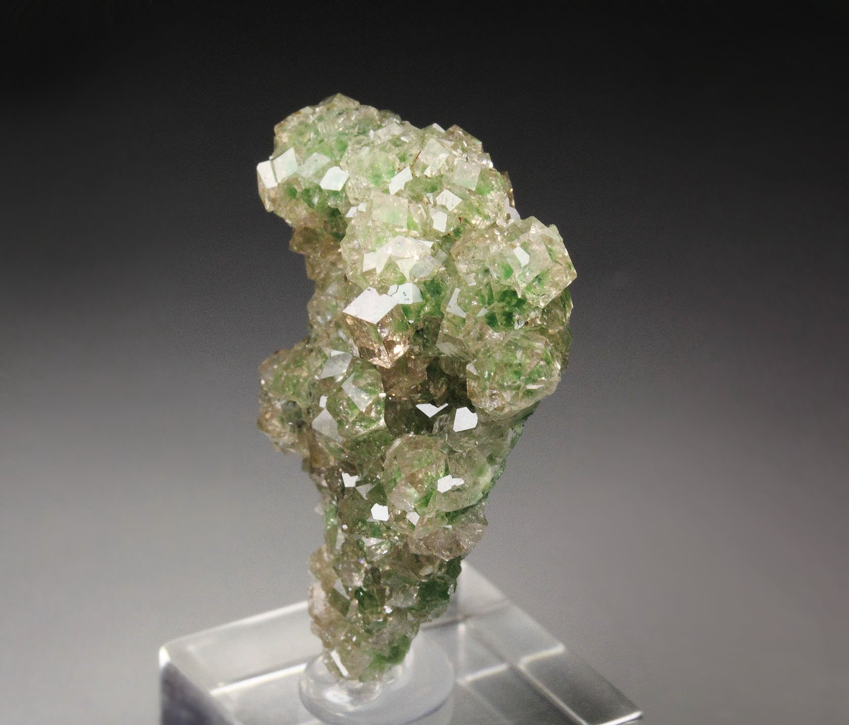 gem GARNET var. GROSSULAR with GREEN CHROMIAN PHANTOMS