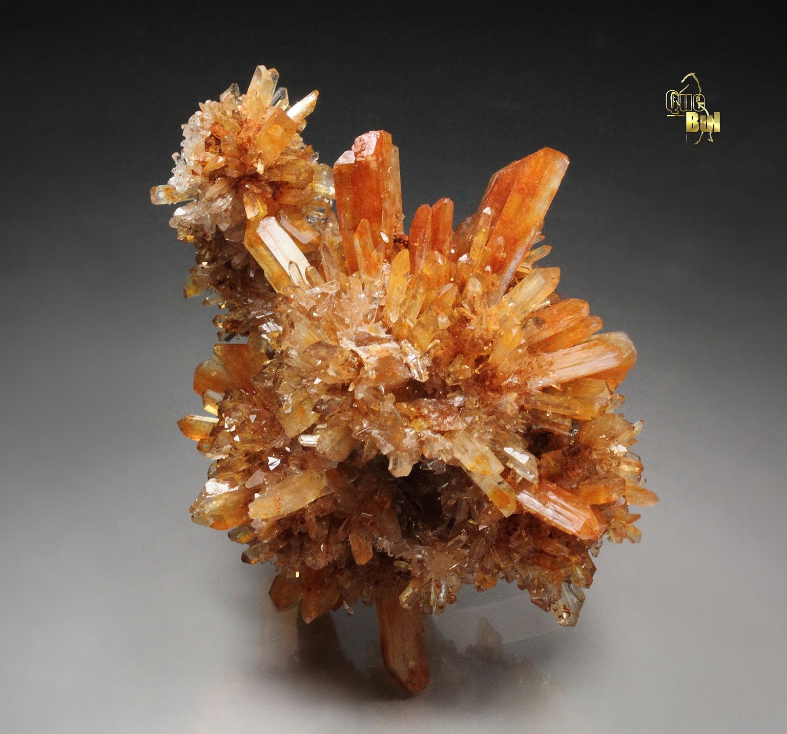 CREEDITE