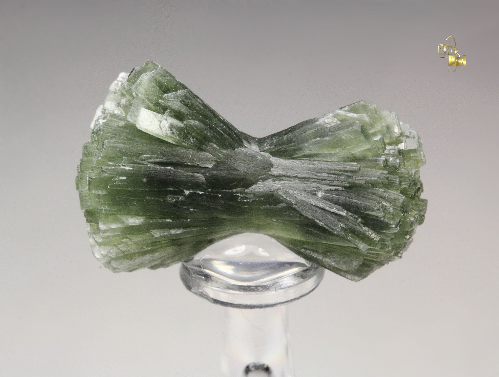 PREHNITE bow tie