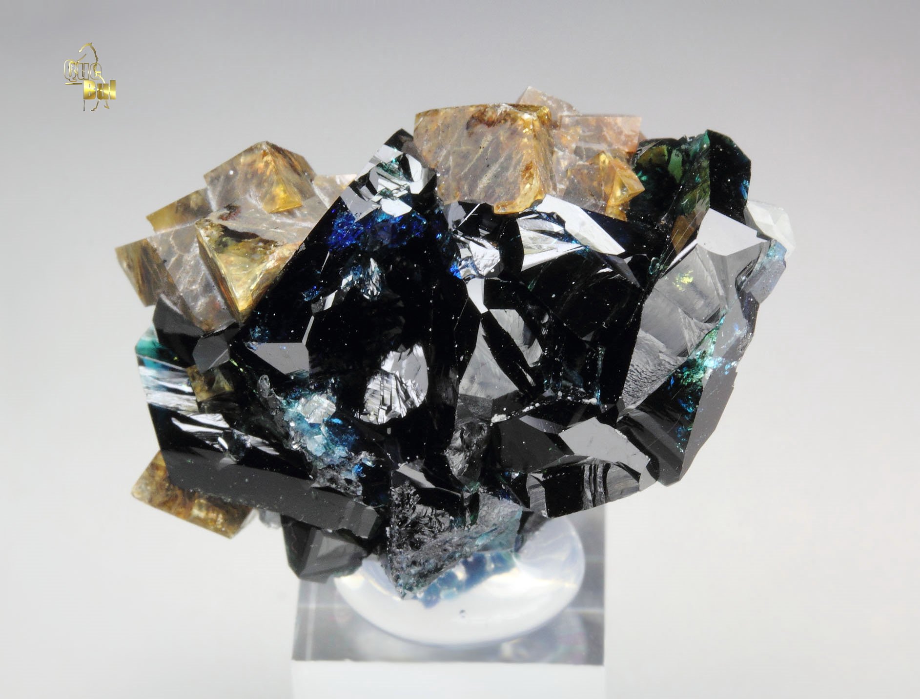 gemmy LAZULITE, SIDERITE, QUARTZ 