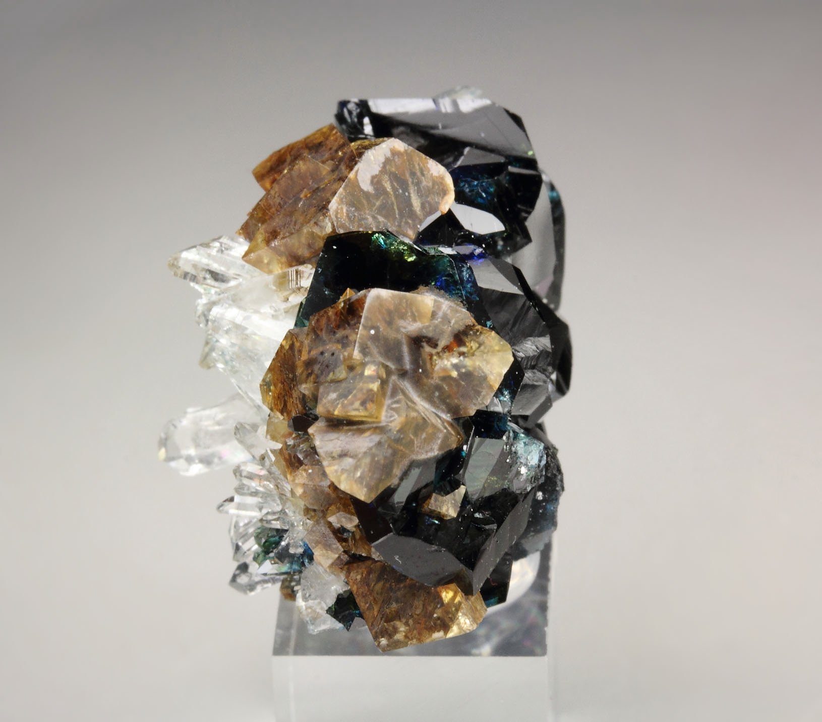 gemmy LAZULITE, SIDERITE, QUARTZ 