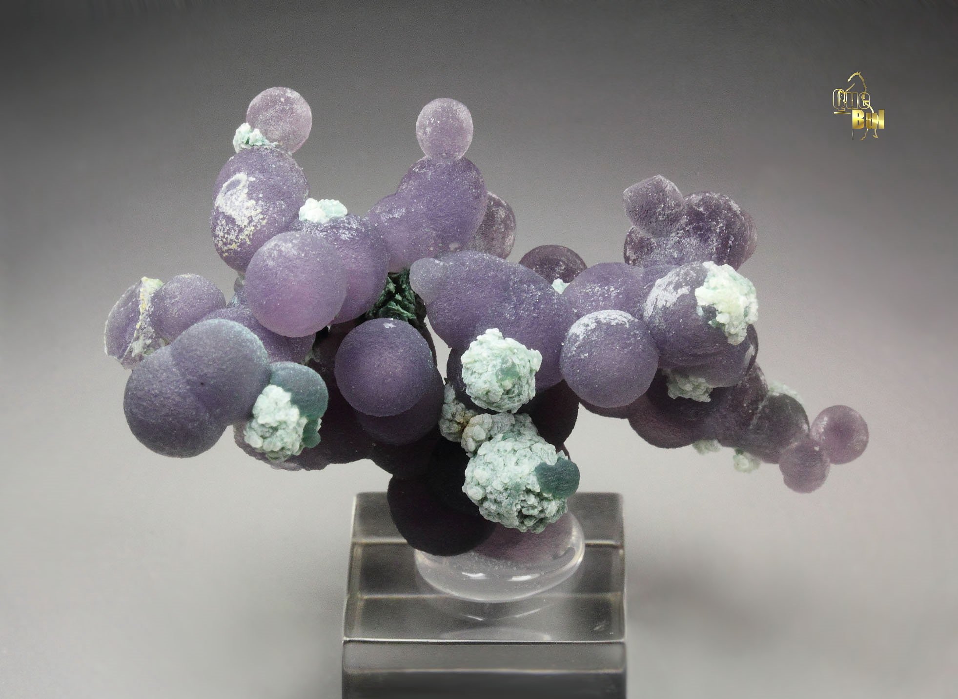 QUARTZ var. AMETHYST - grape agate