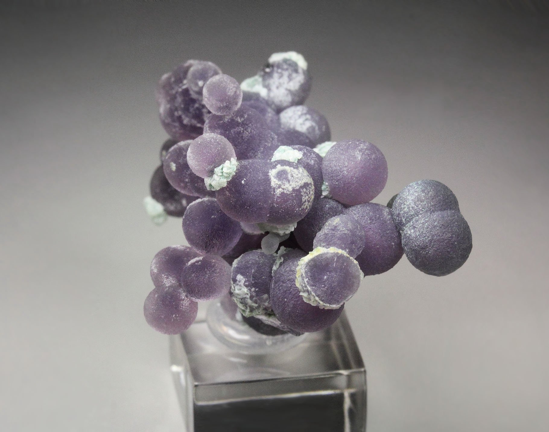 QUARTZ var. AMETHYST - grape agate