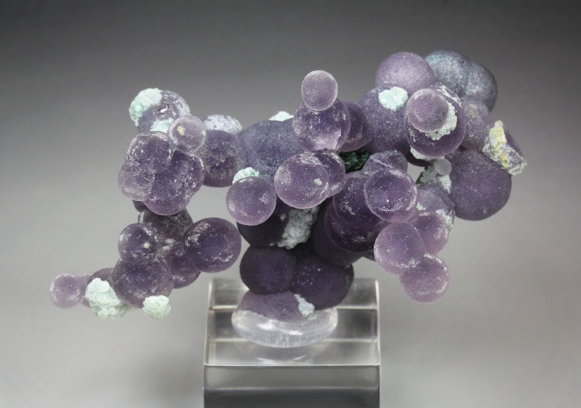 QUARTZ var. AMETHYST - grape agate