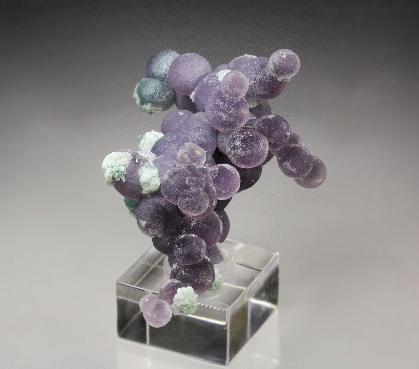 QUARTZ var. AMETHYST - grape agate