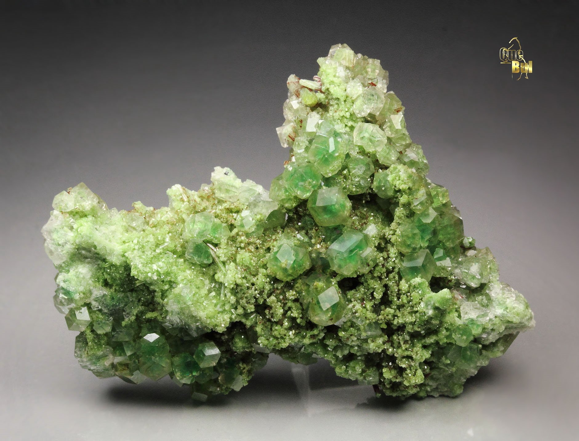 gem GARNET var. GROSSULAR with GREEN CHROMIAN PHANTOMS, DIOPSIDE