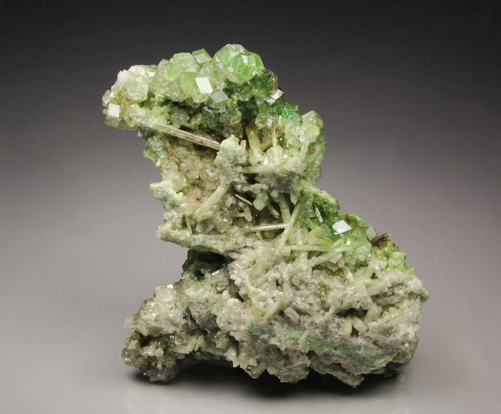 gem GARNET var. GROSSULAR with GREEN CHROMIAN PHANTOMS, DIOPSIDE