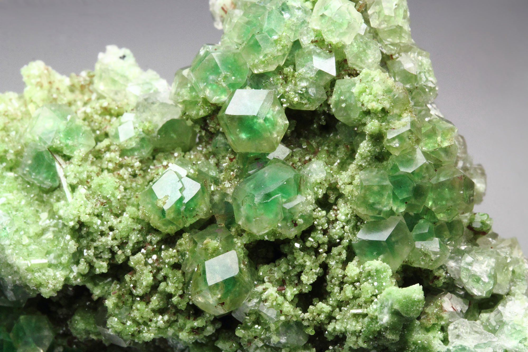 gem GARNET var. GROSSULAR with GREEN CHROMIAN PHANTOMS, DIOPSIDE