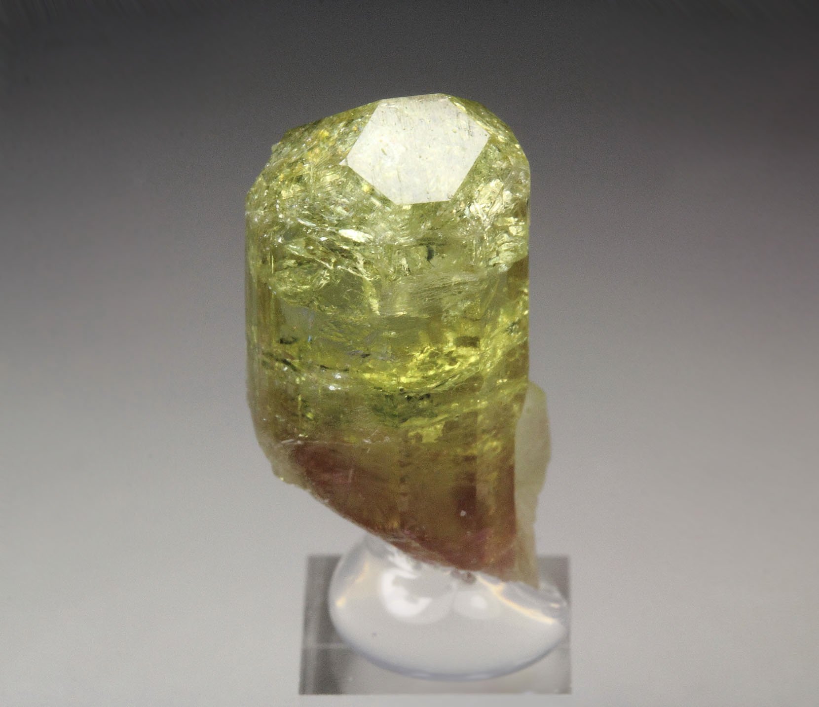 gem VESUVIANITE