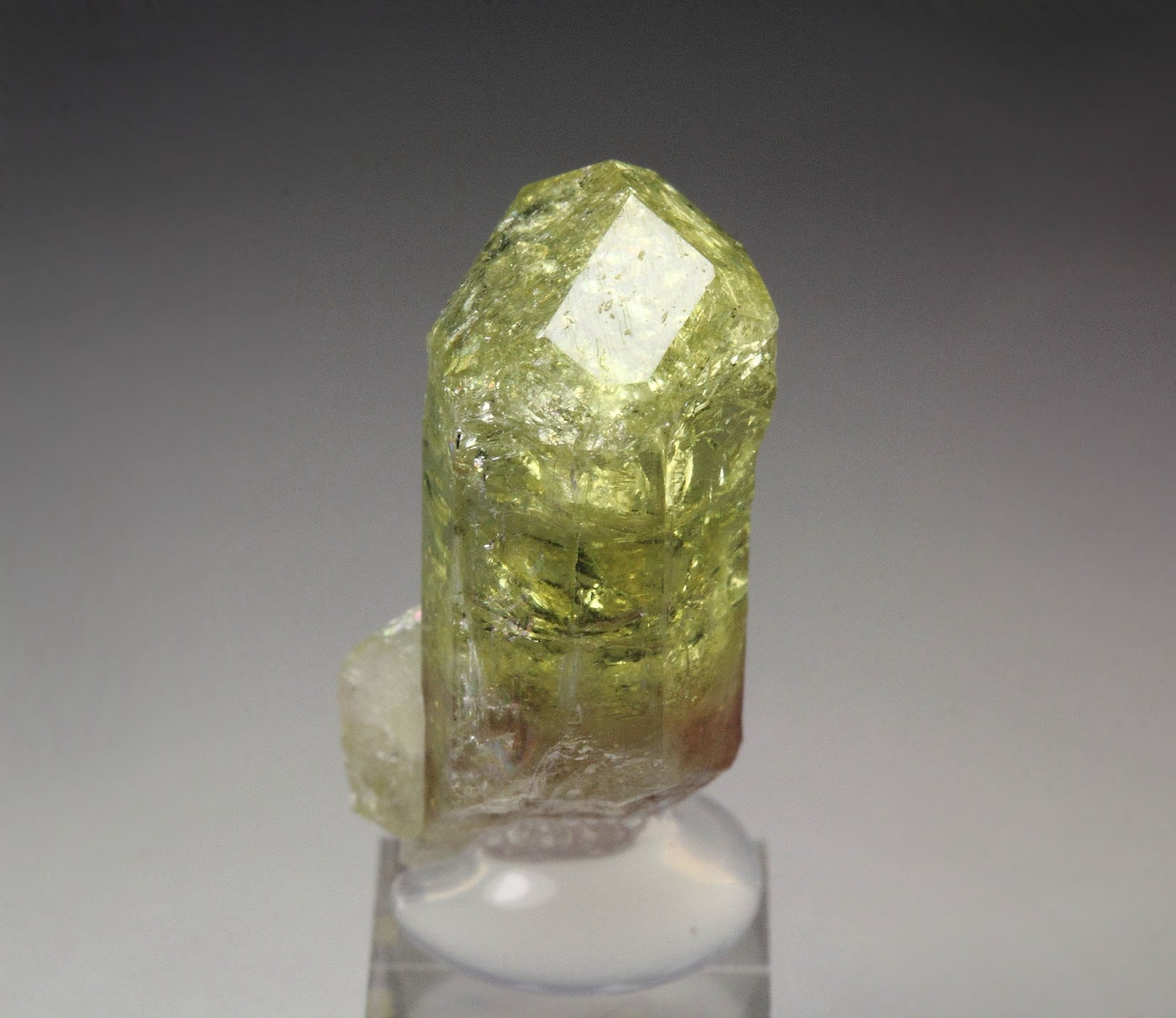 gem VESUVIANITE