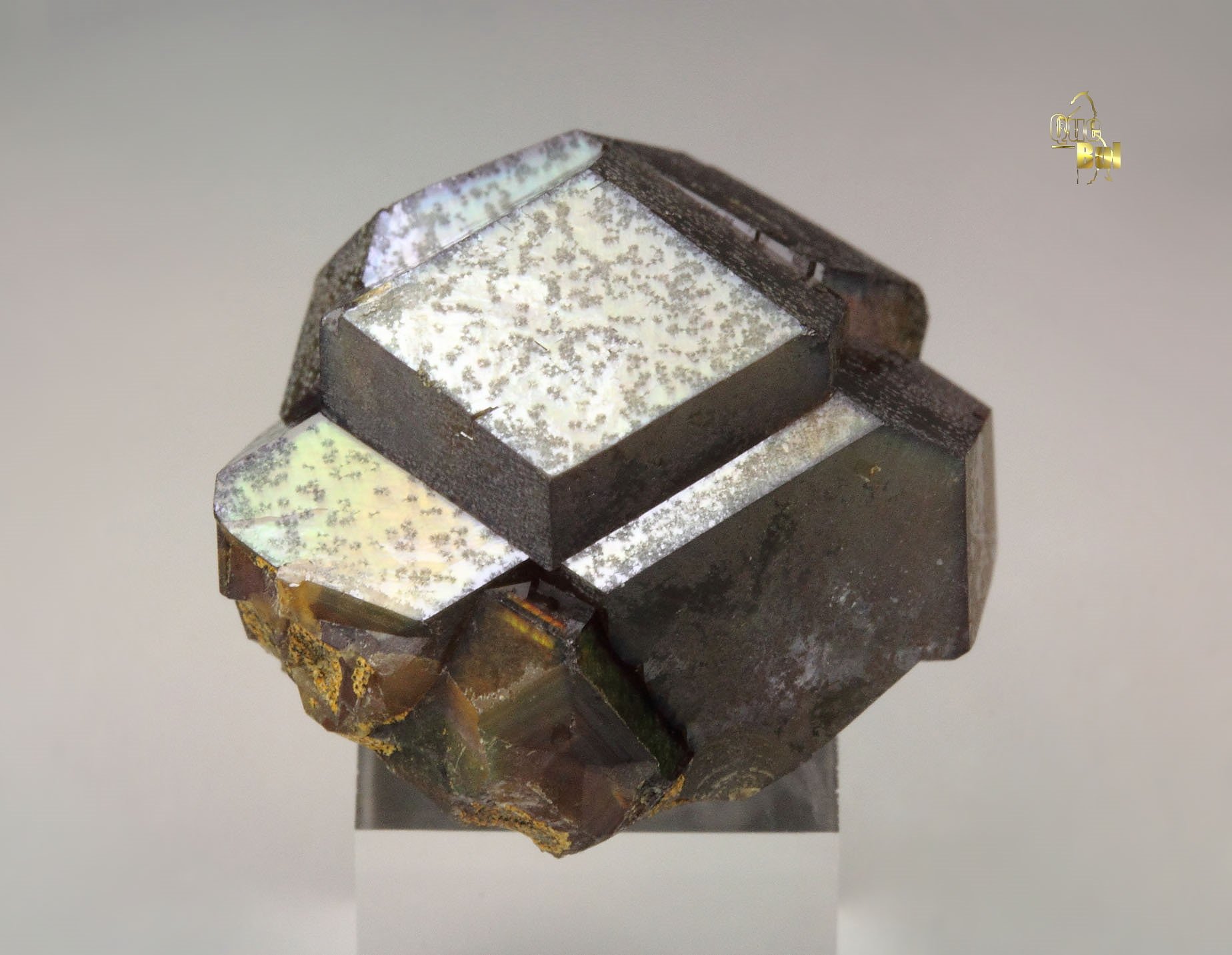 iridescent rainbow GARNET var. ANDRADITE