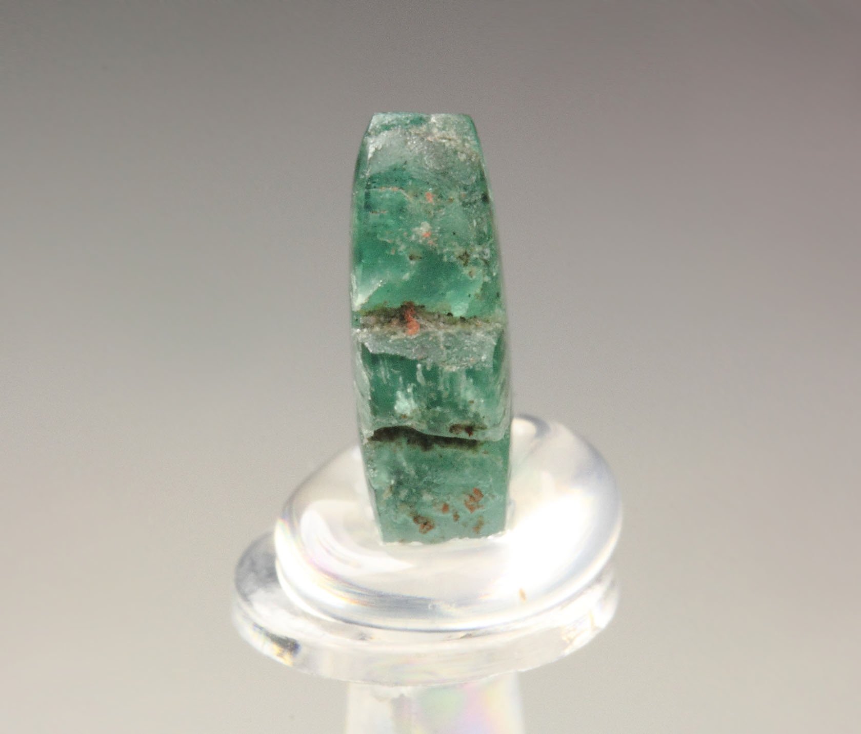 BERYL var. EMERALD - TRAPICHE