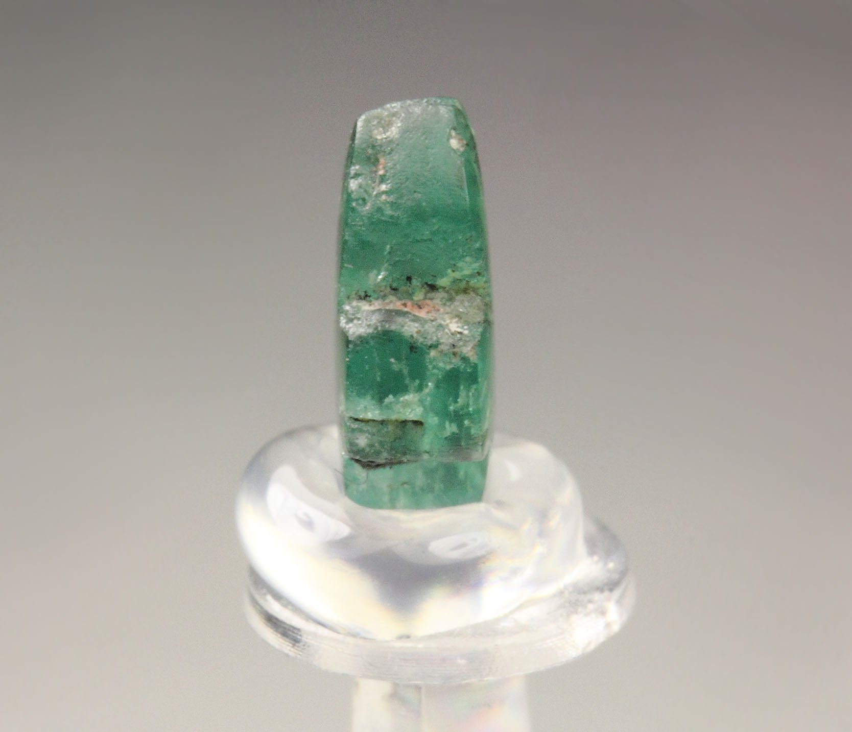 BERYL var. EMERALD - TRAPICHE