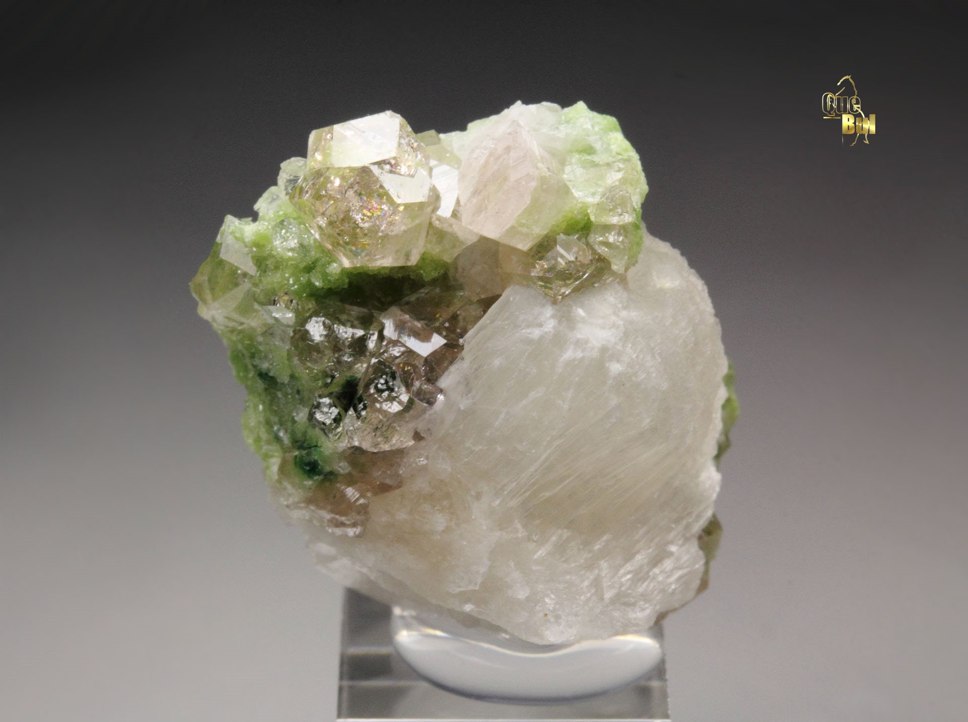 gem GARNET var. GROSSULAR, PREHNITE