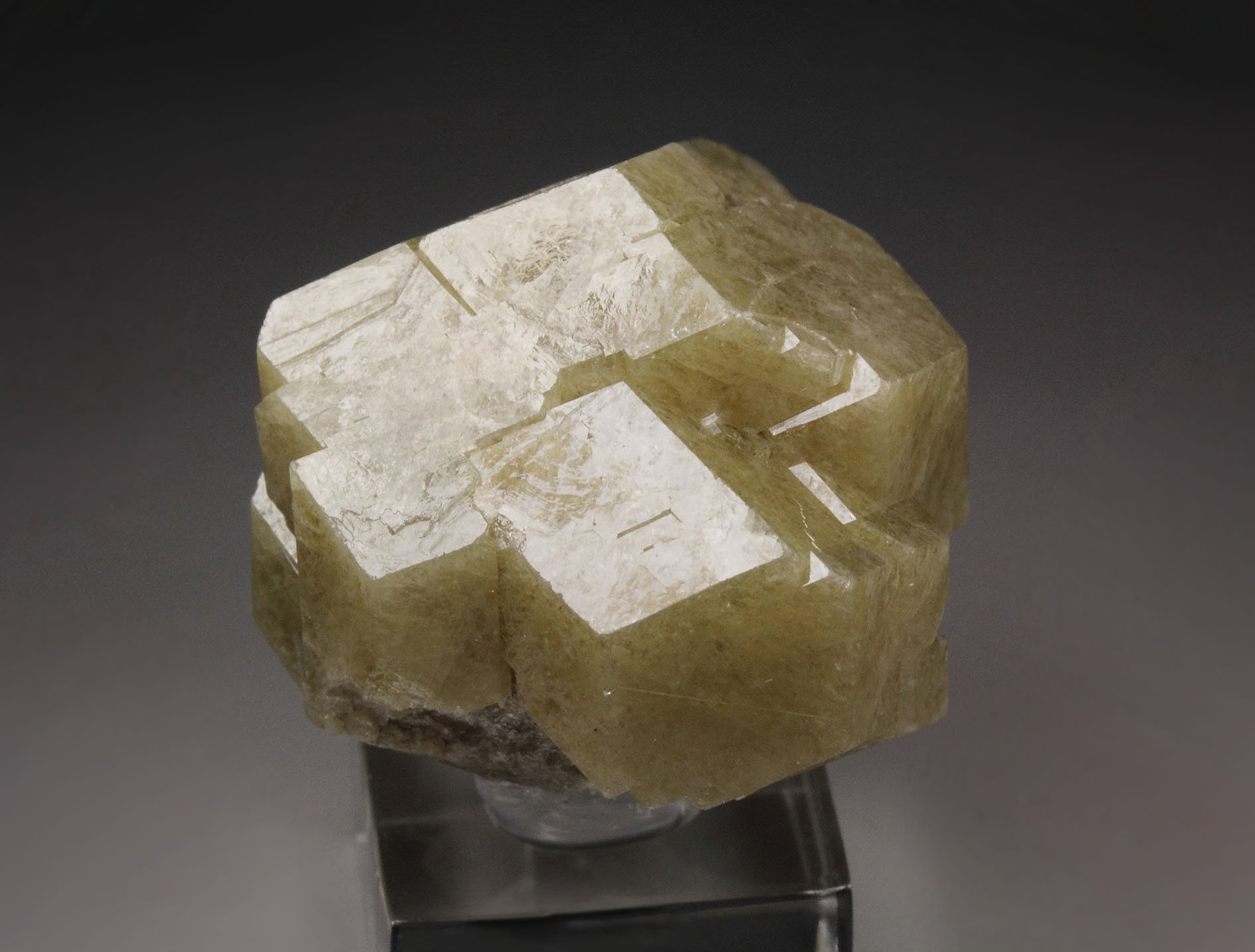 GARNET var. ANDRADITE
