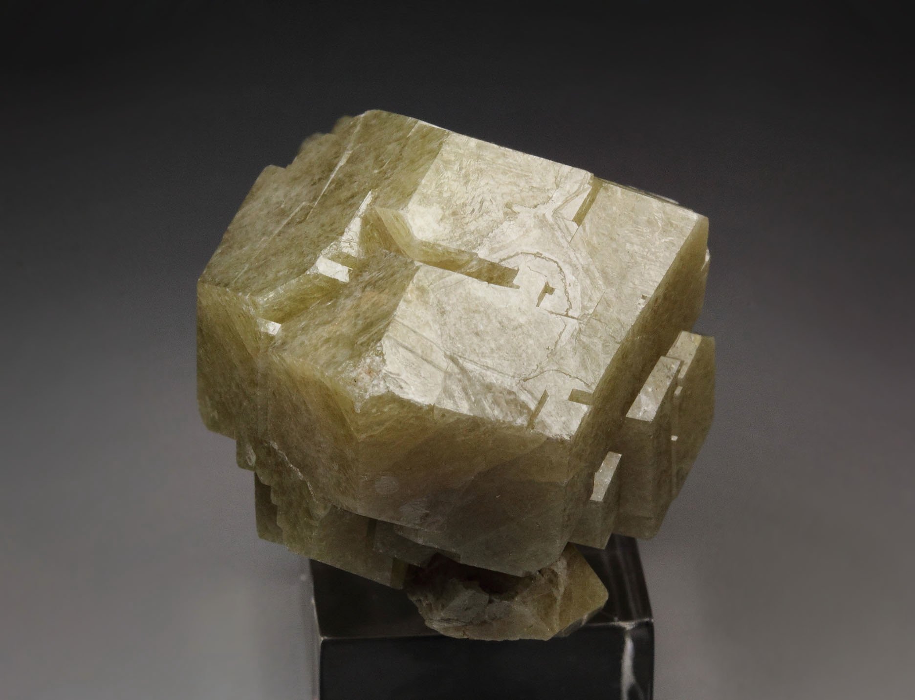 GARNET var. ANDRADITE