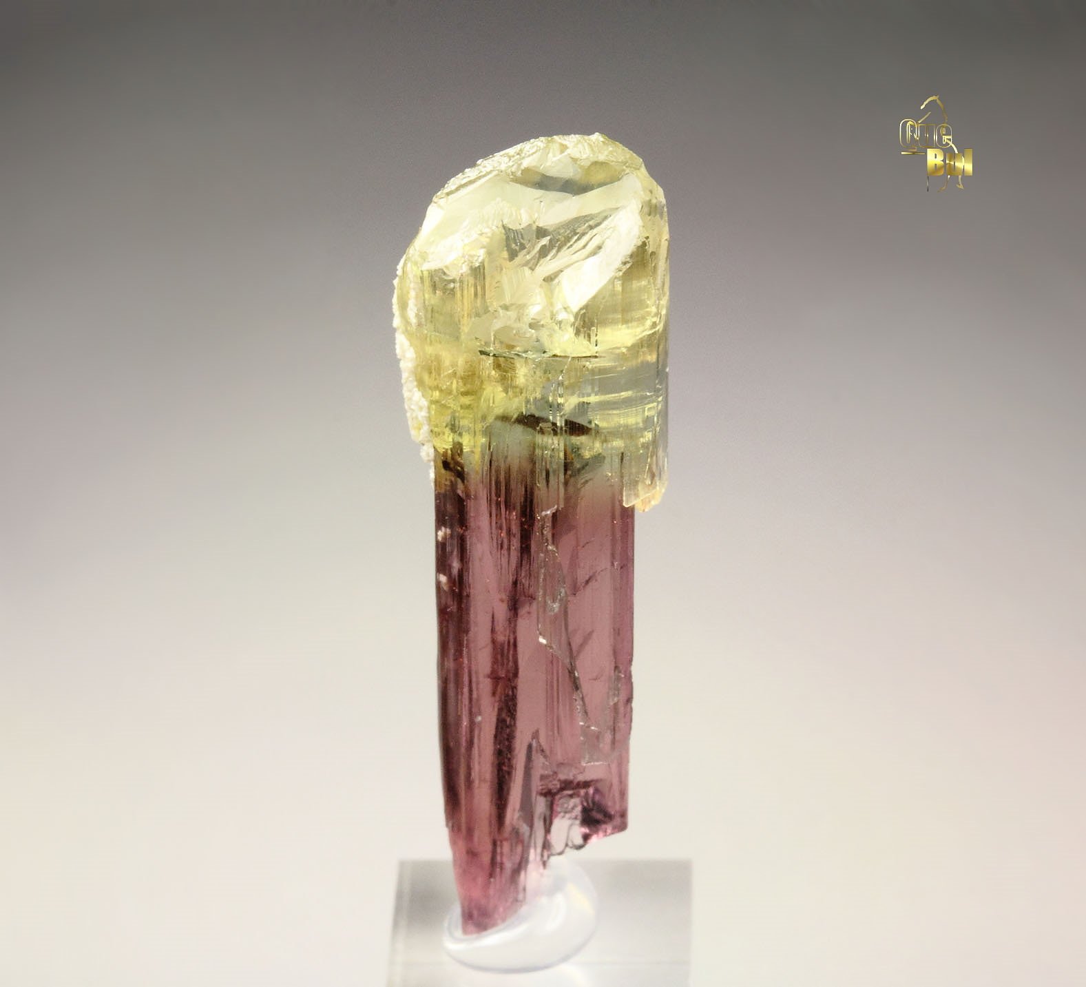 scepter TOURMALINE var. ELBAITE
