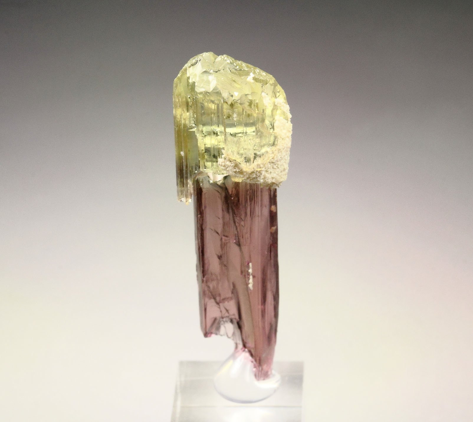 scepter TOURMALINE var. ELBAITE
