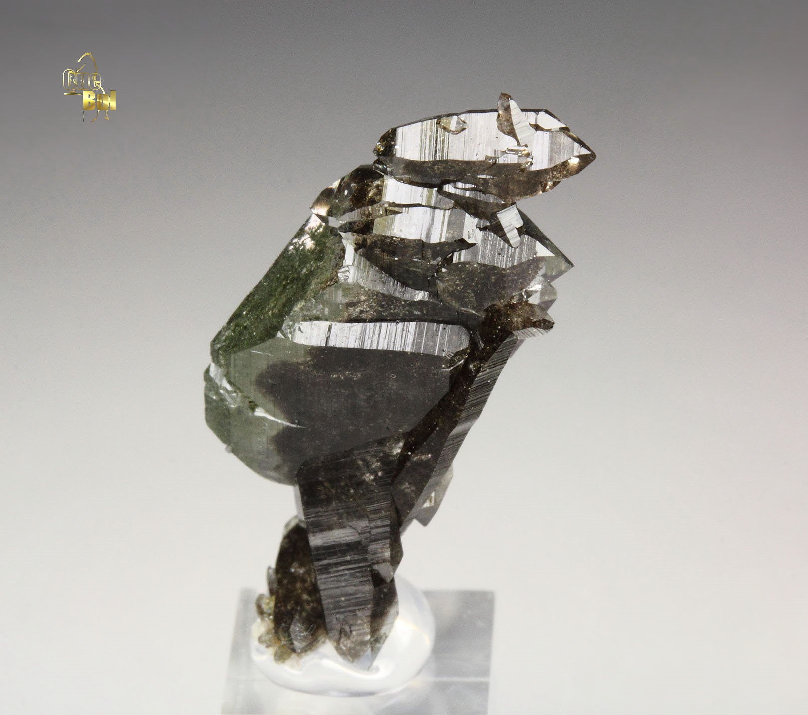 QUARTZ var. FADEN with chlorite group inclusions