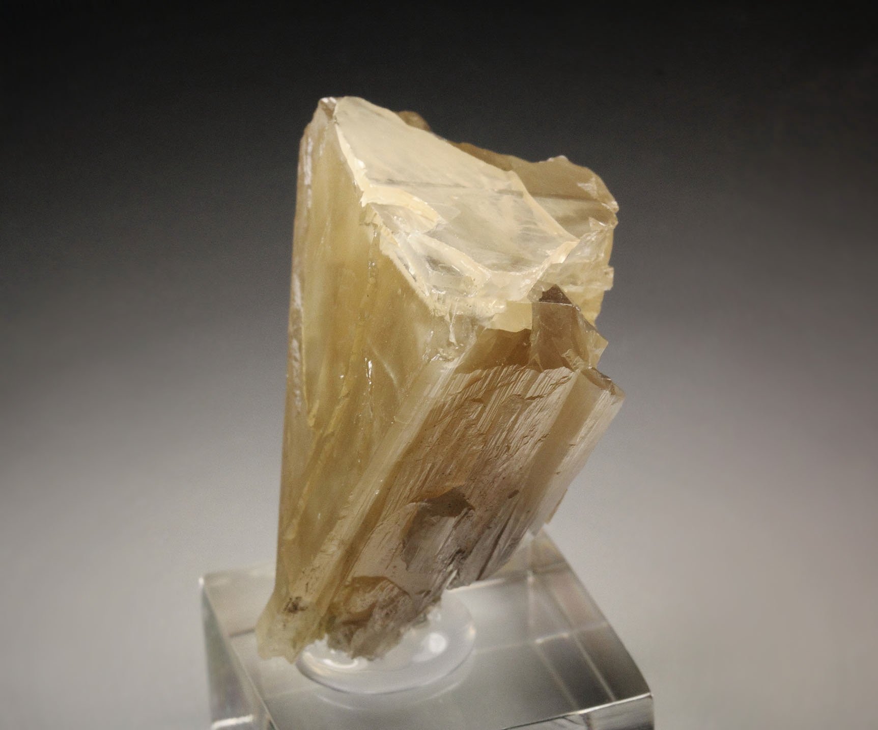 twinned CERUSSITE