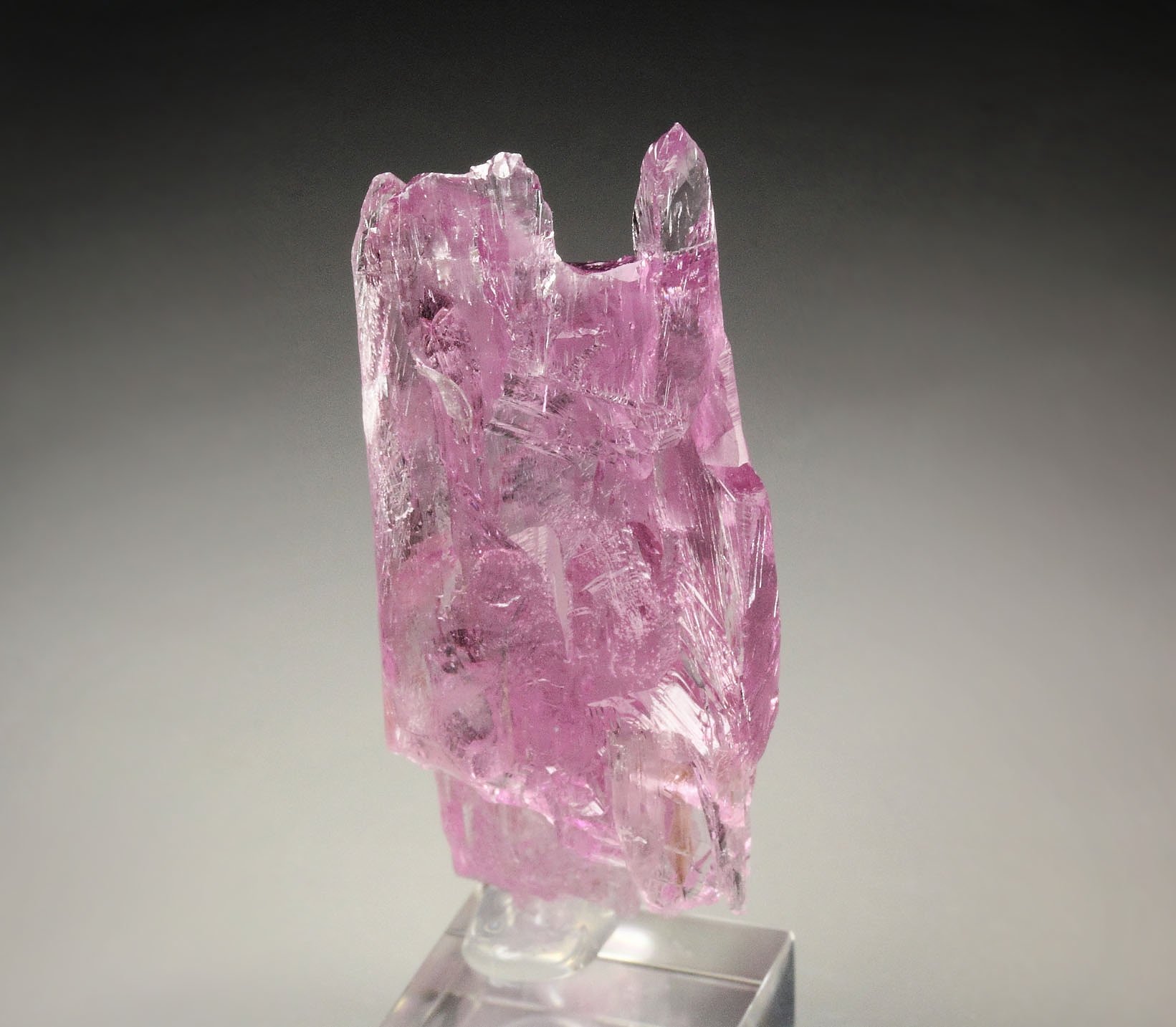 gem SPODUMENE var. KUNZITE