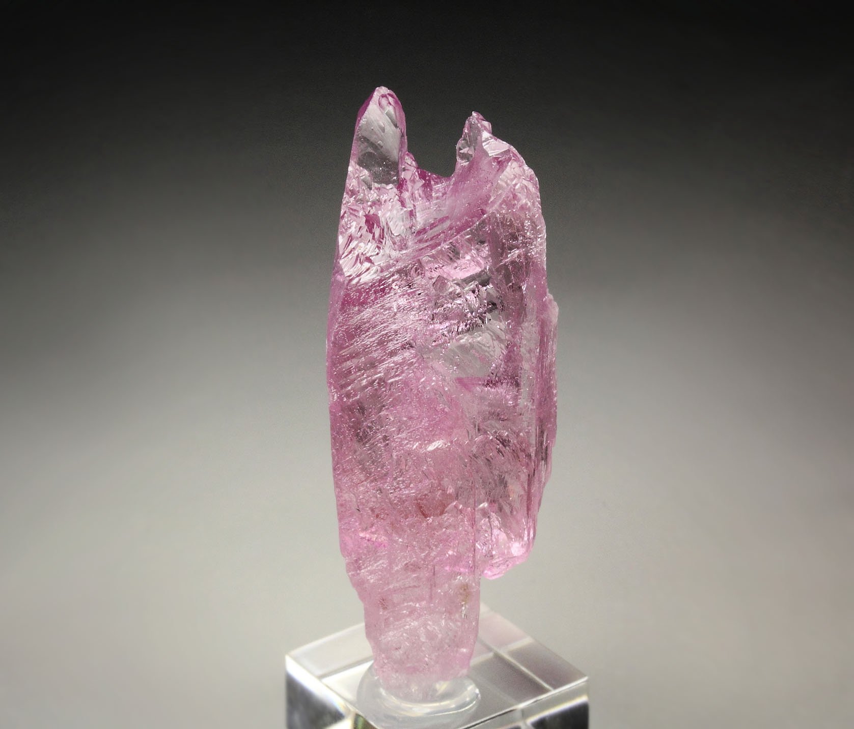 gem SPODUMENE var. KUNZITE
