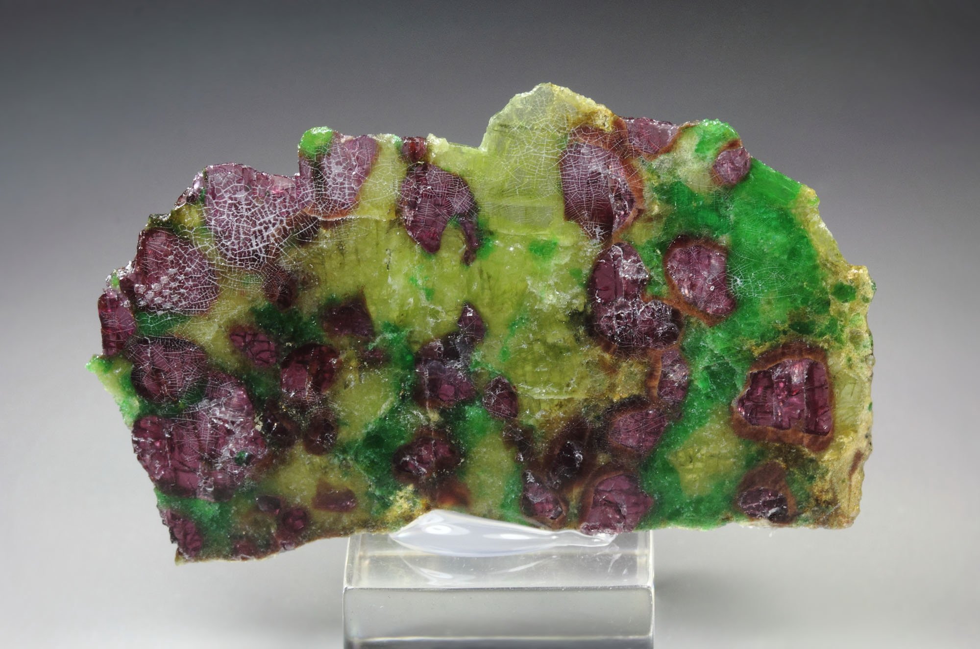 GARNET var. PYROPE, DIOPSIDE var. CHROMIUM-BEARING DIOPSIDE, ENSTATITE