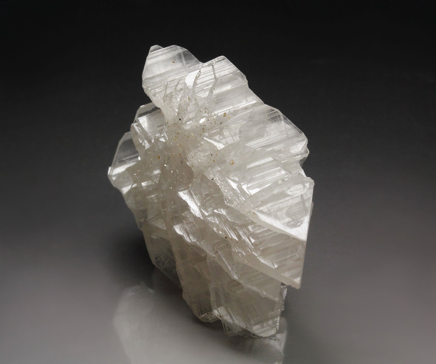 reticulated CERUSSITE