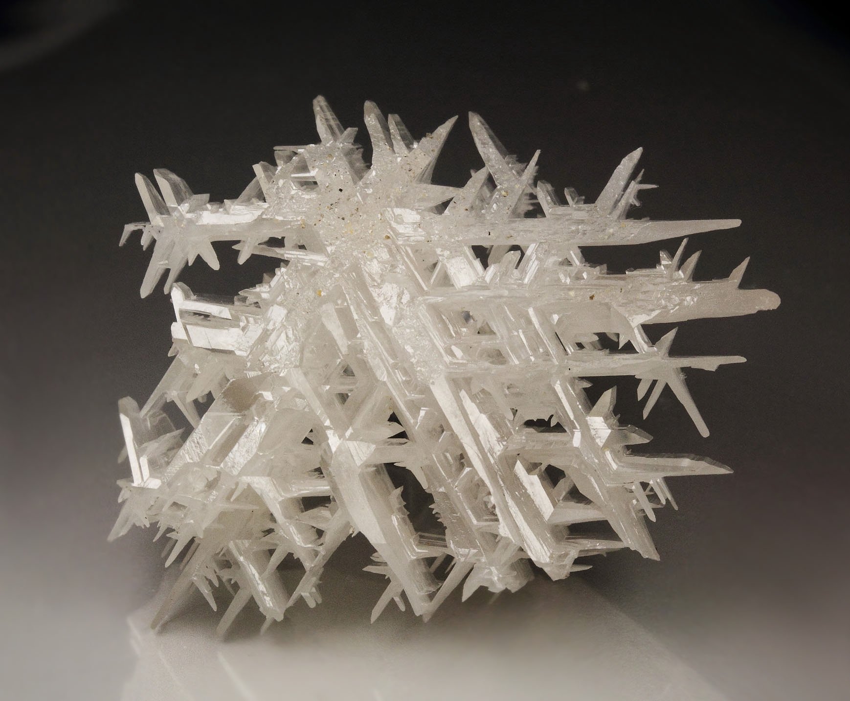 reticulated CERUSSITE