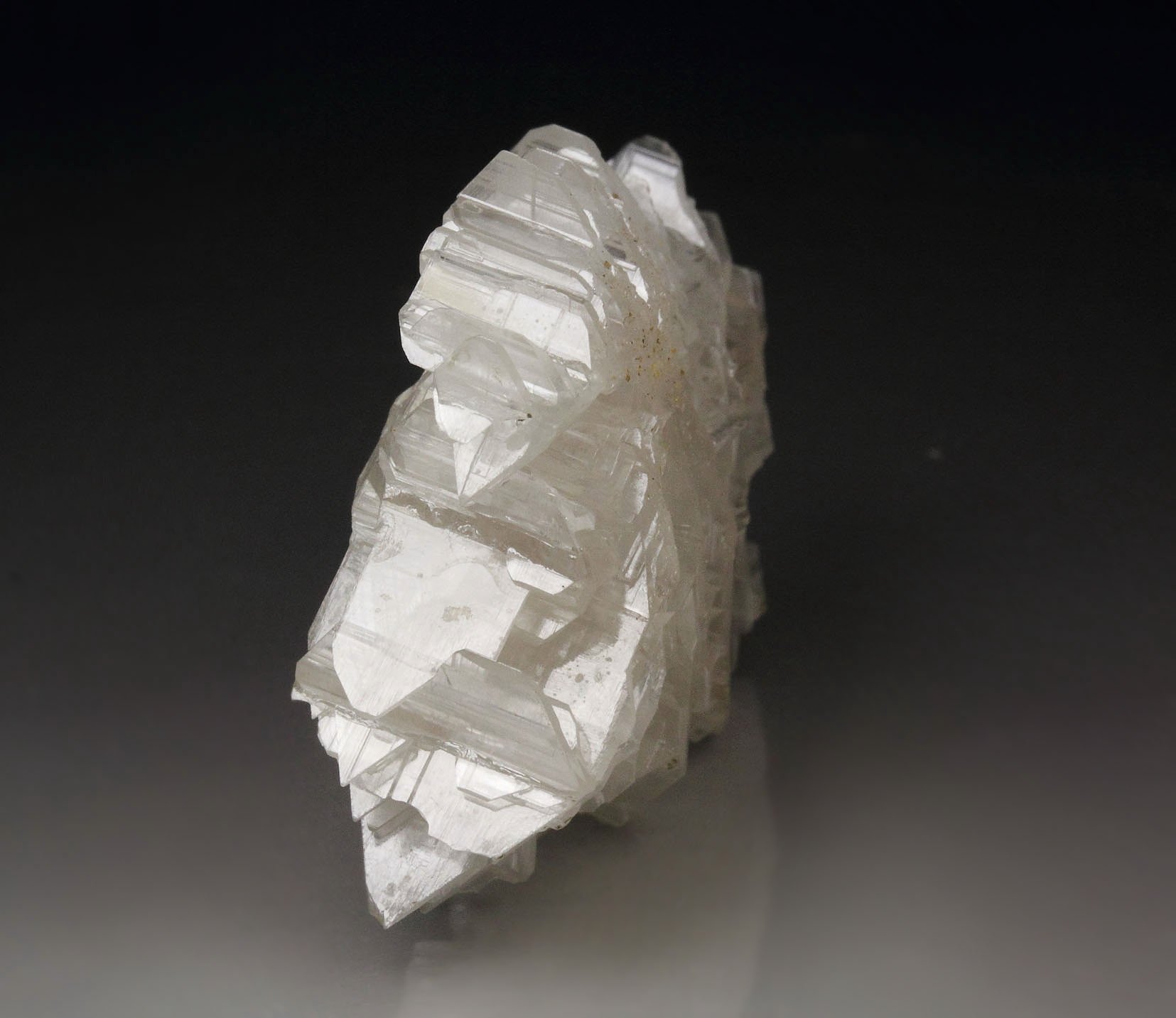 reticulated CERUSSITE