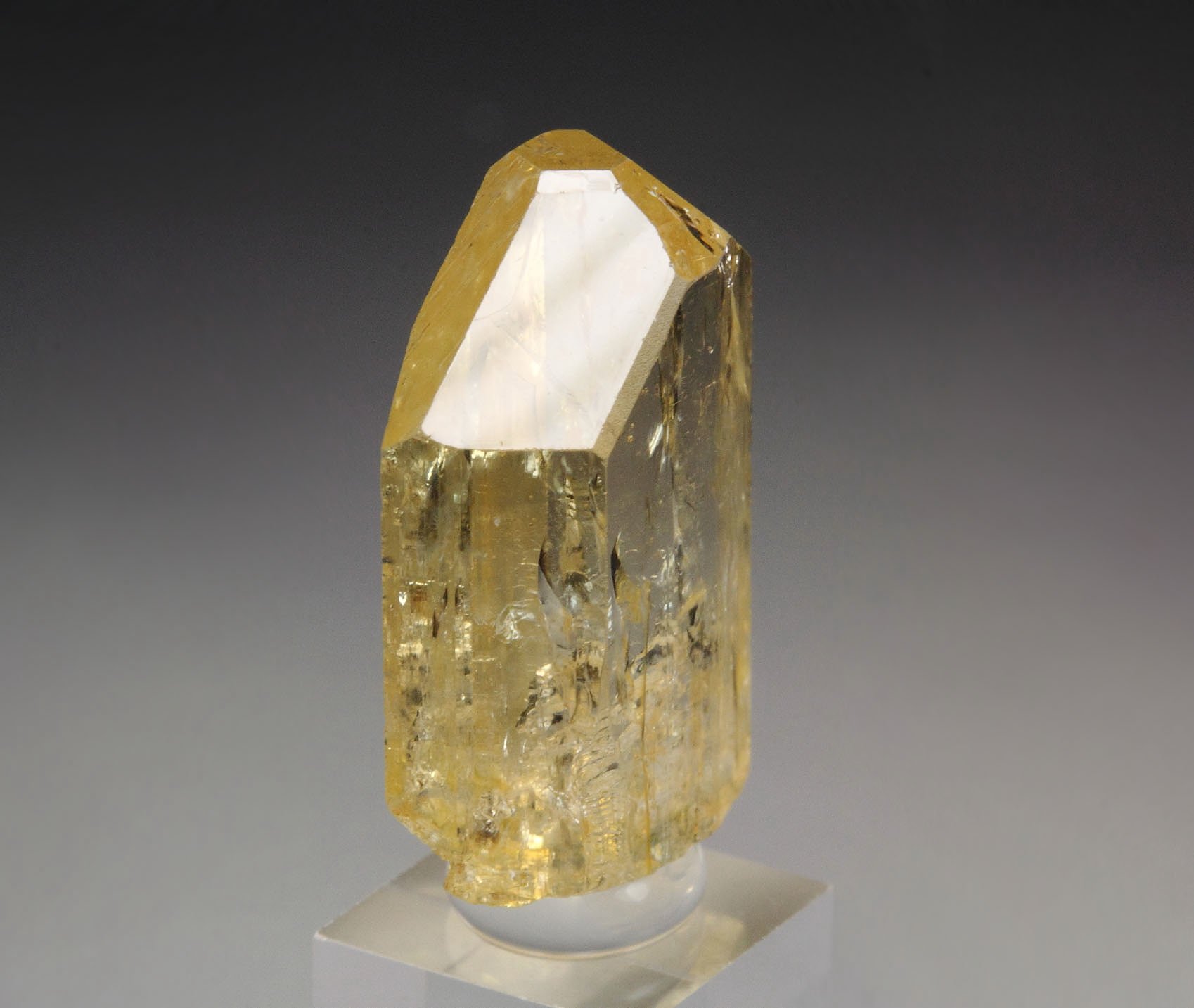 gem TOPAZ var. IMPERIAL TOPAZ