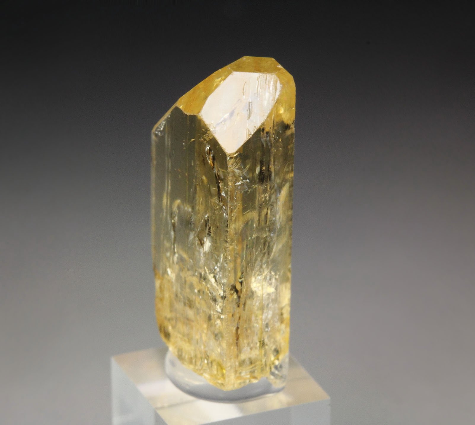 gem TOPAZ var. IMPERIAL TOPAZ